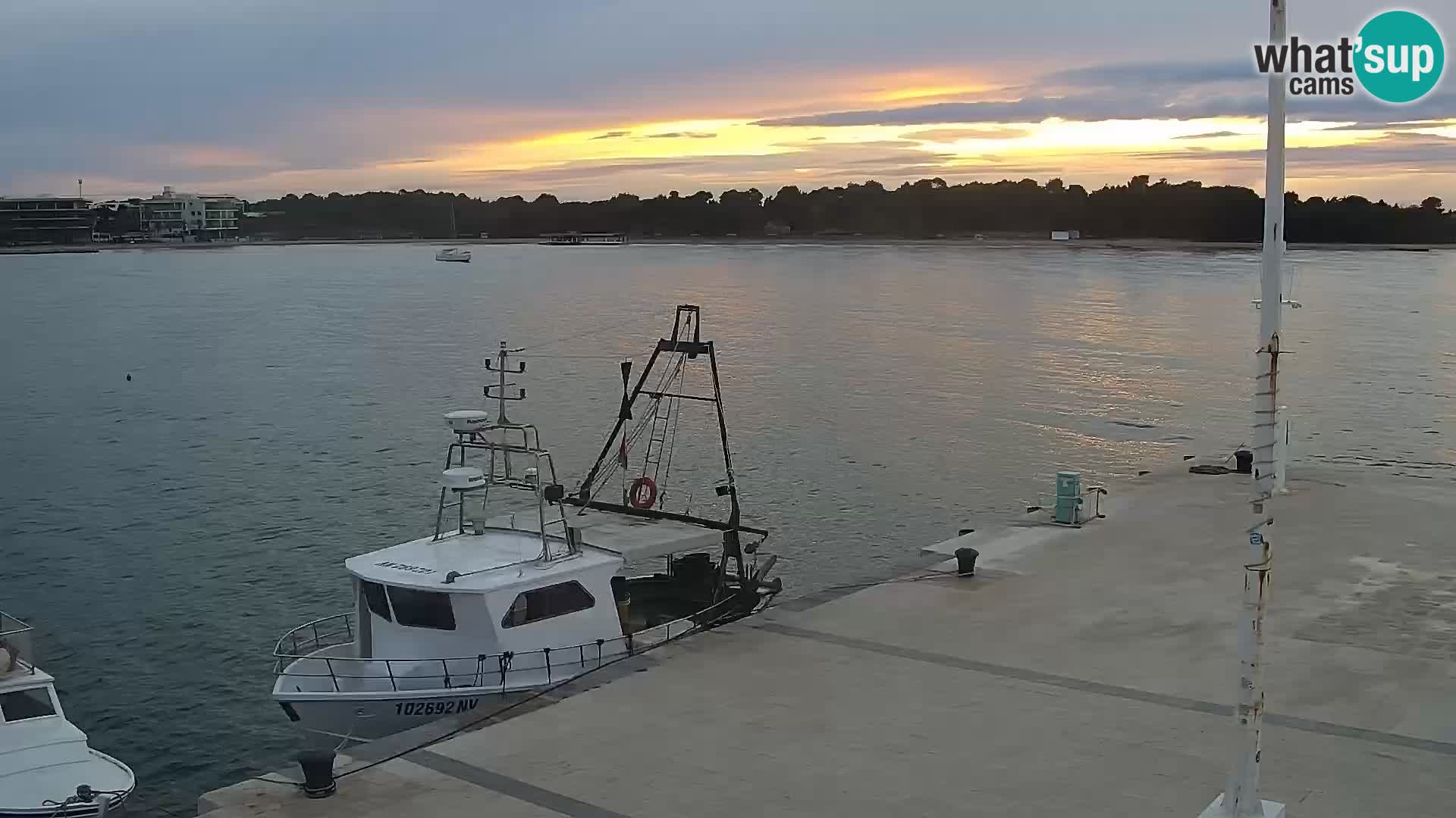 Webcam Novalja seaside promenade