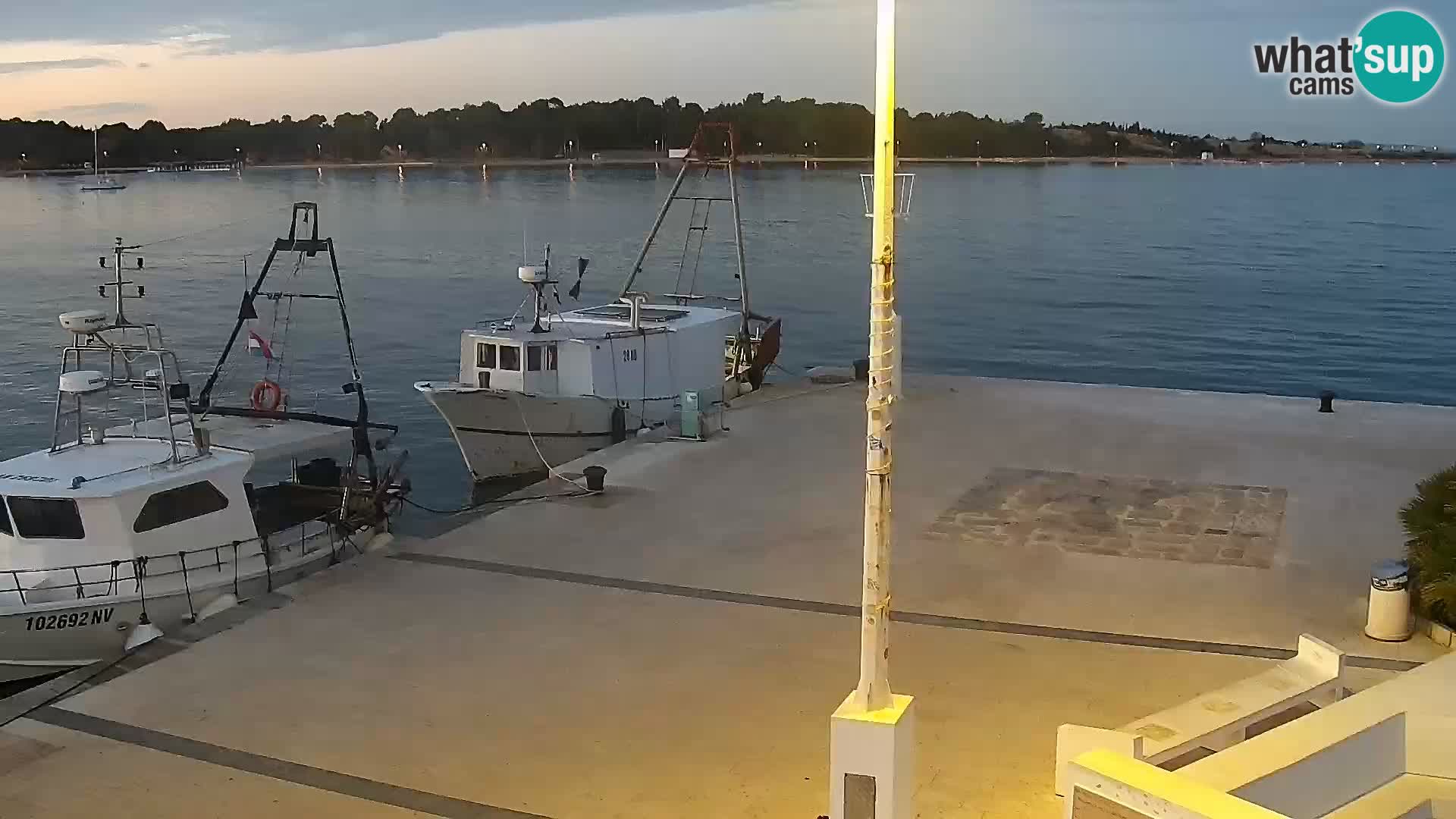 Webcam Novalja seaside promenade