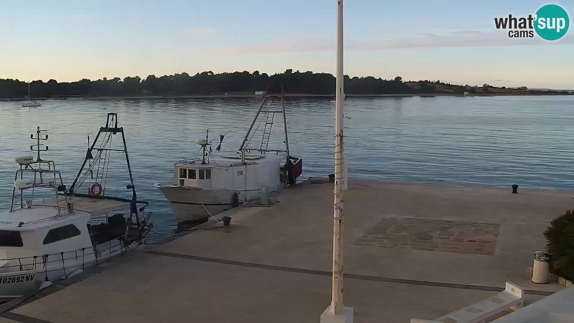 Novalja Livecam promenade