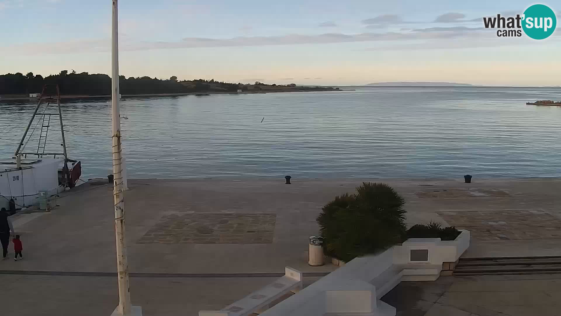 Promenade en Novalia Camera en vivo