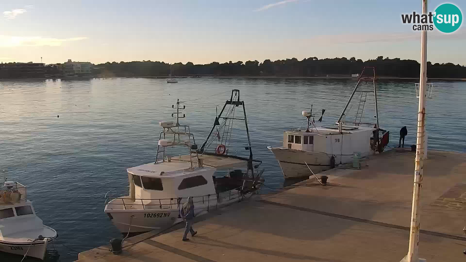 Webcam Novalja seaside promenade