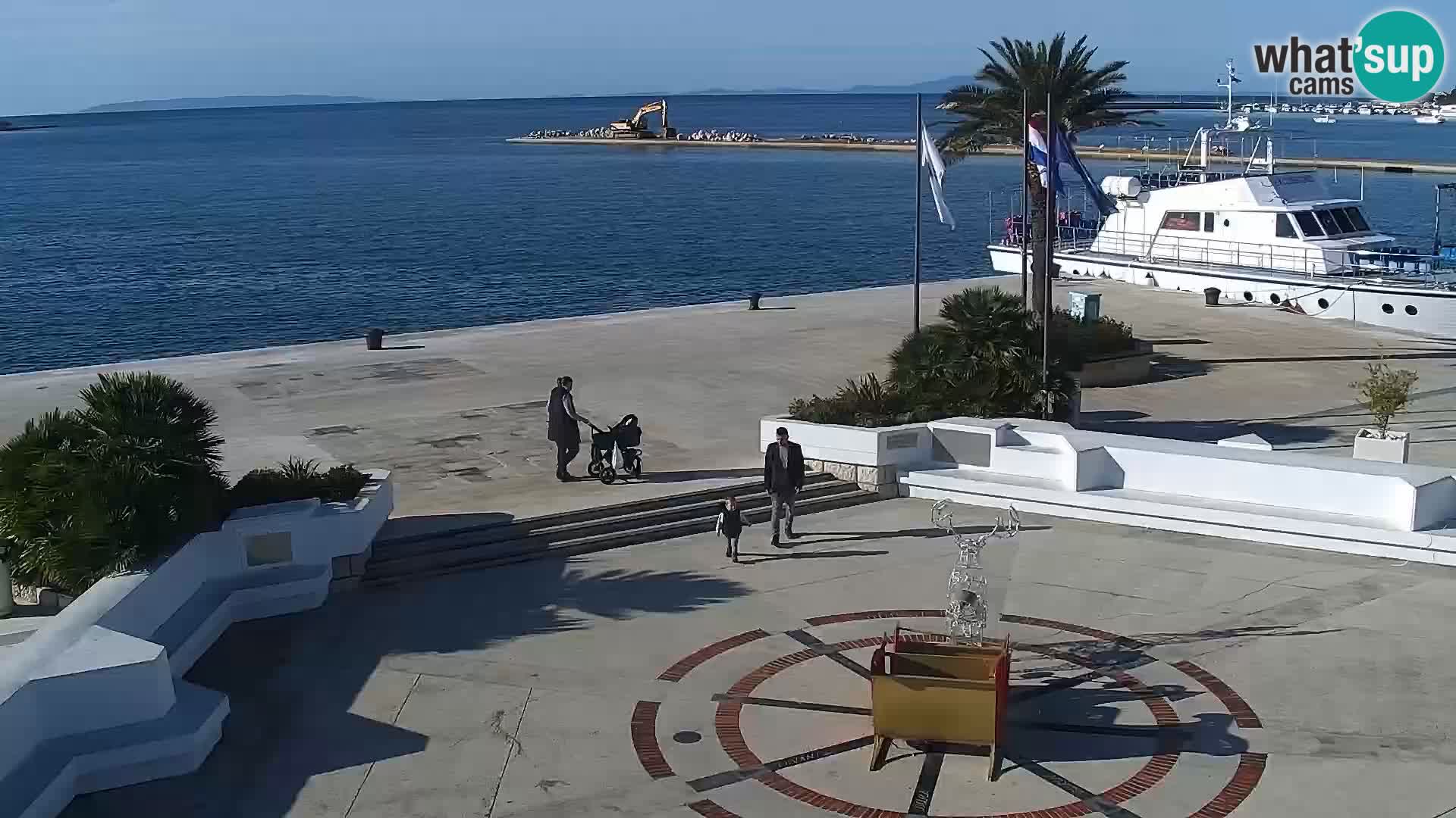 Promenade en Novalia Camera en vivo