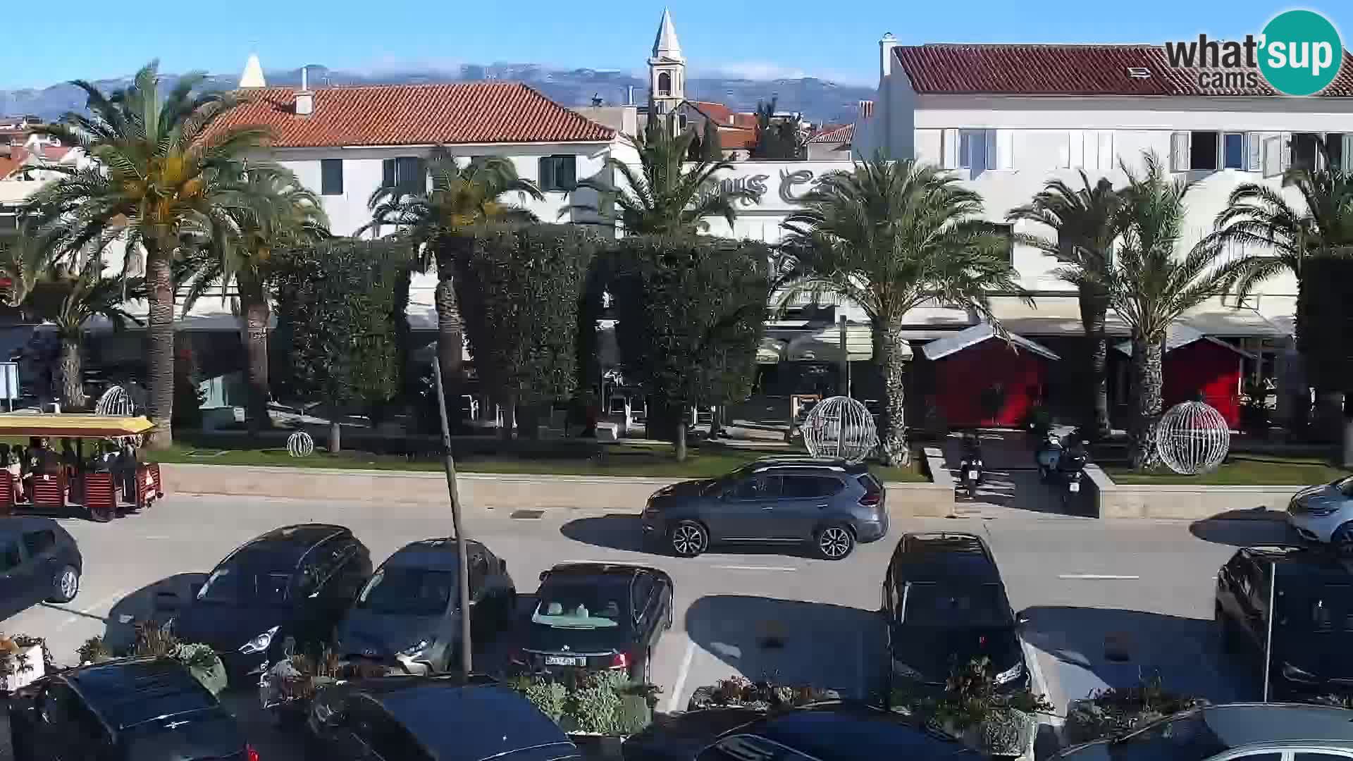 Promenade en Novalia Camera en vivo