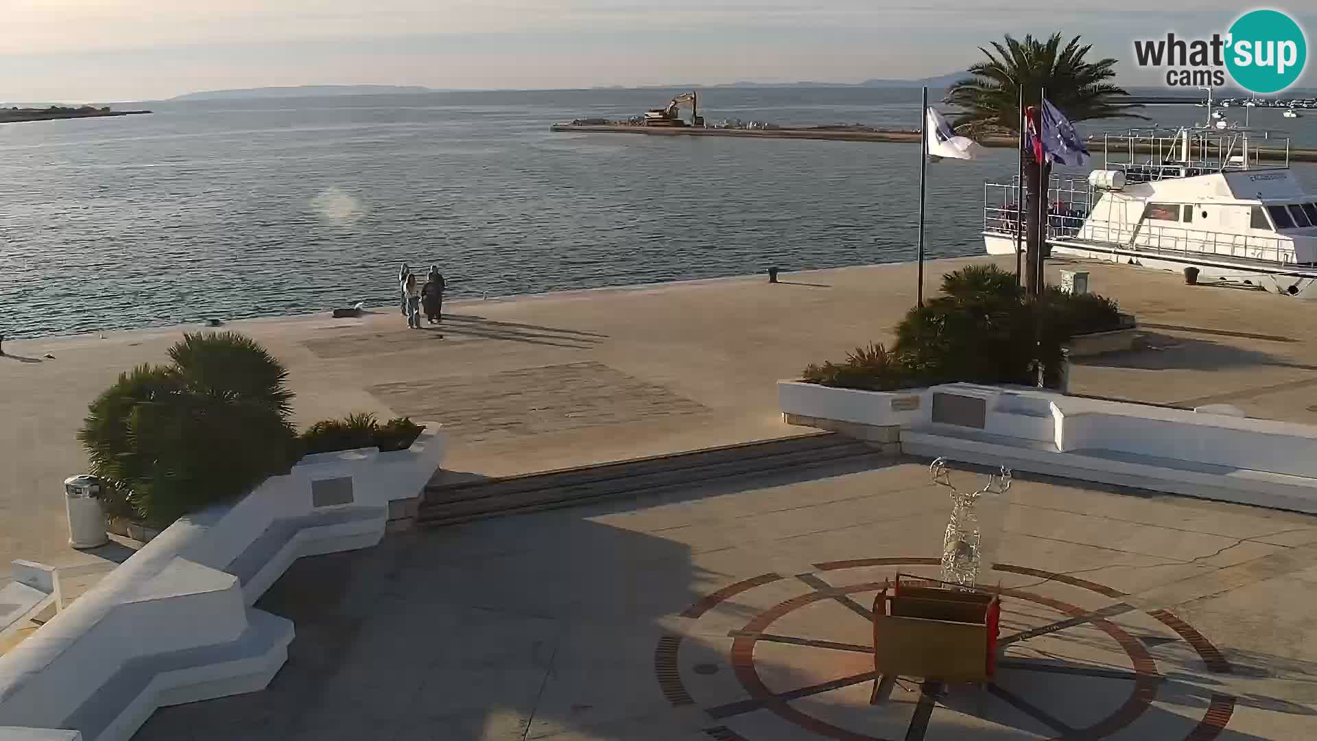 Promenade en Novalia Camera en vivo