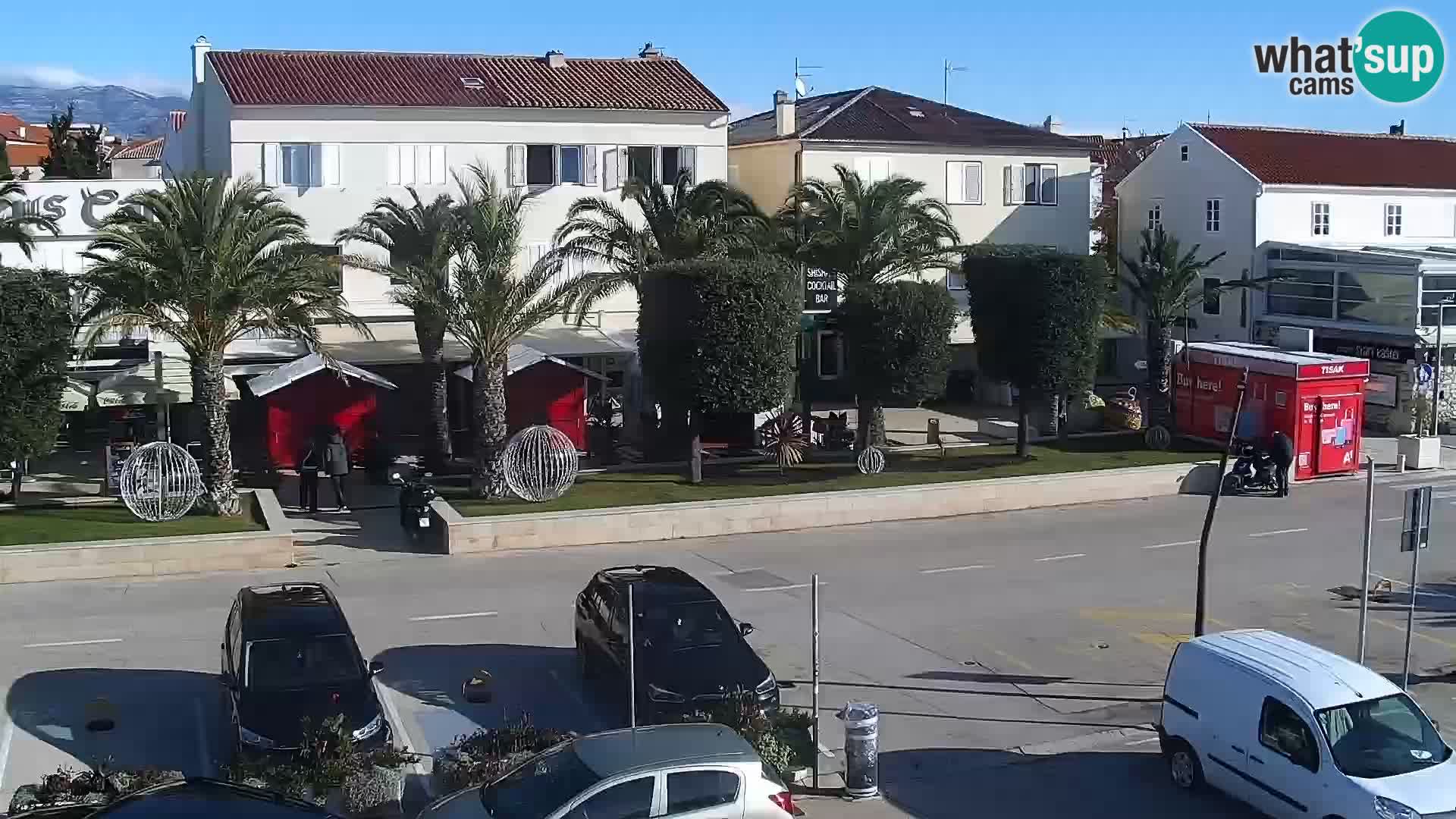 Promenade en Novalia Camera en vivo