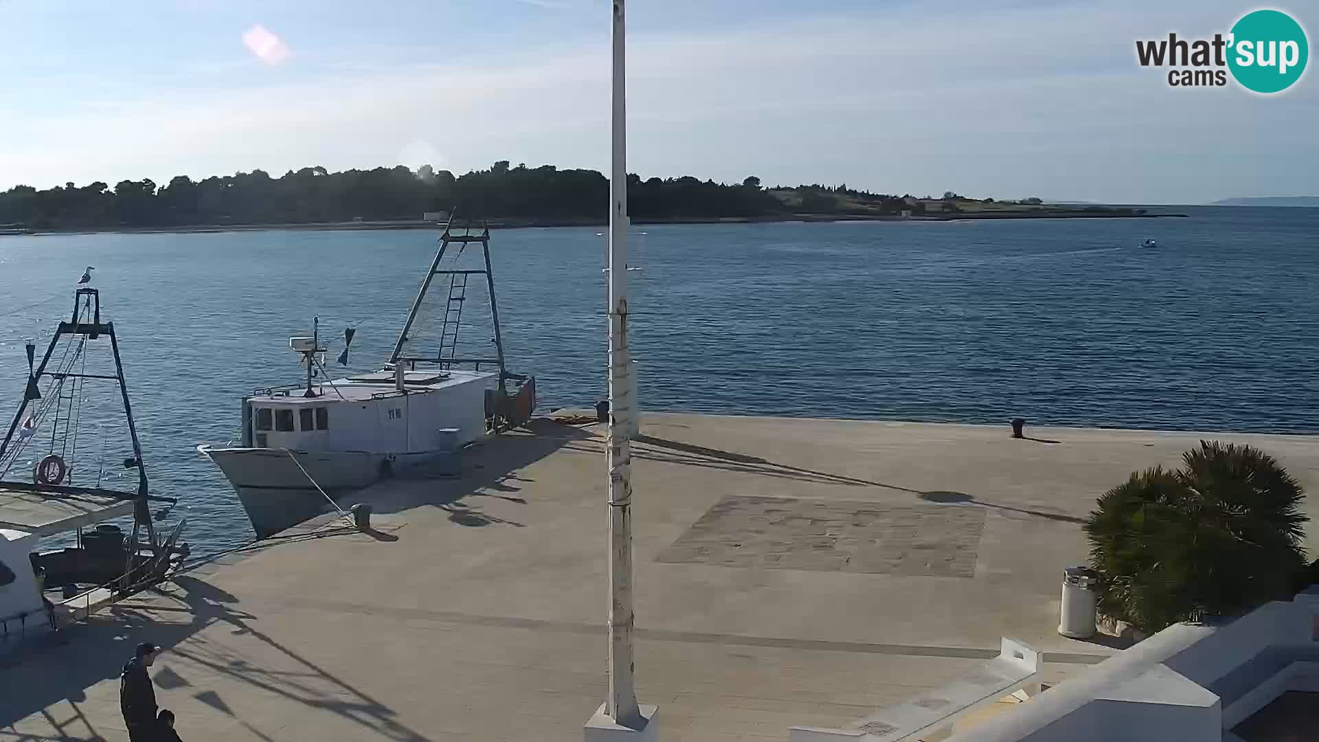 Webcam Novalja seaside promenade