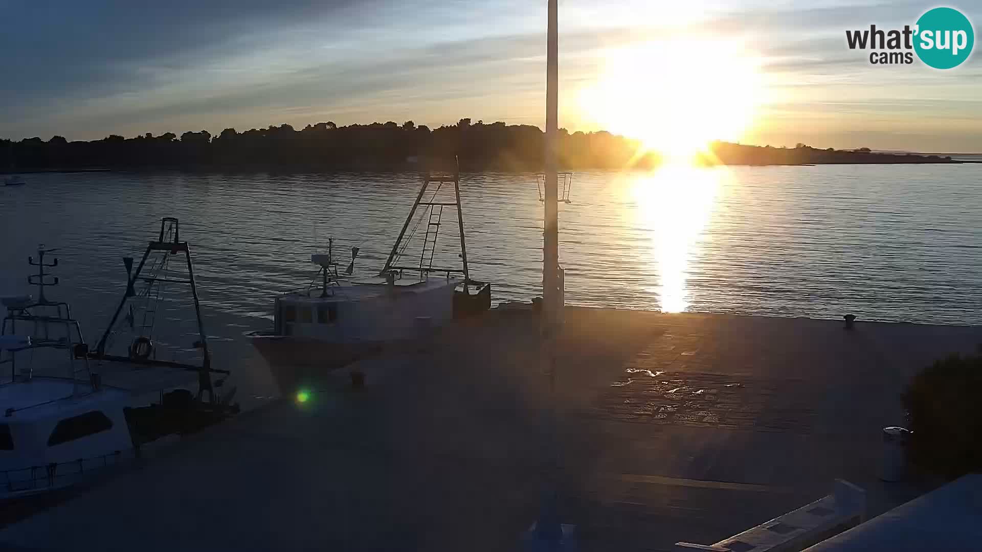 Novalja spletna kamera promenada