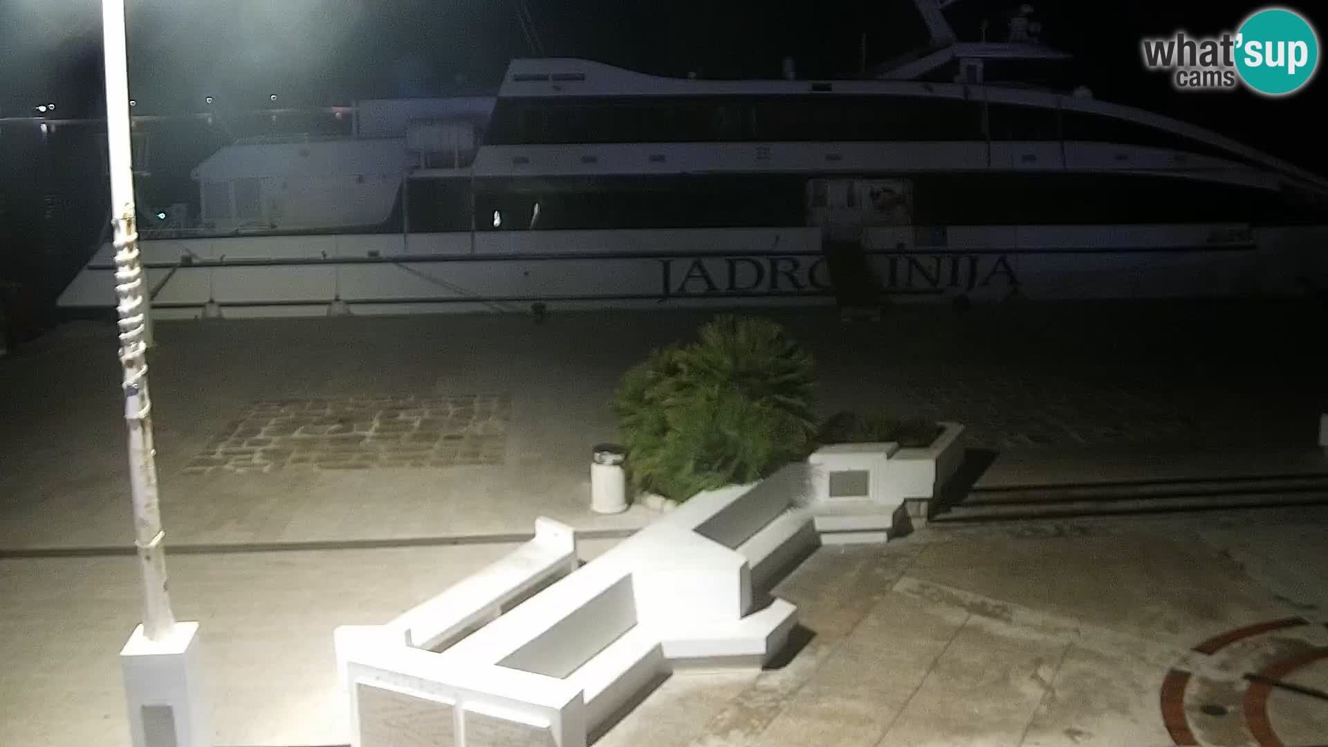 Promenade en Novalia Camera en vivo