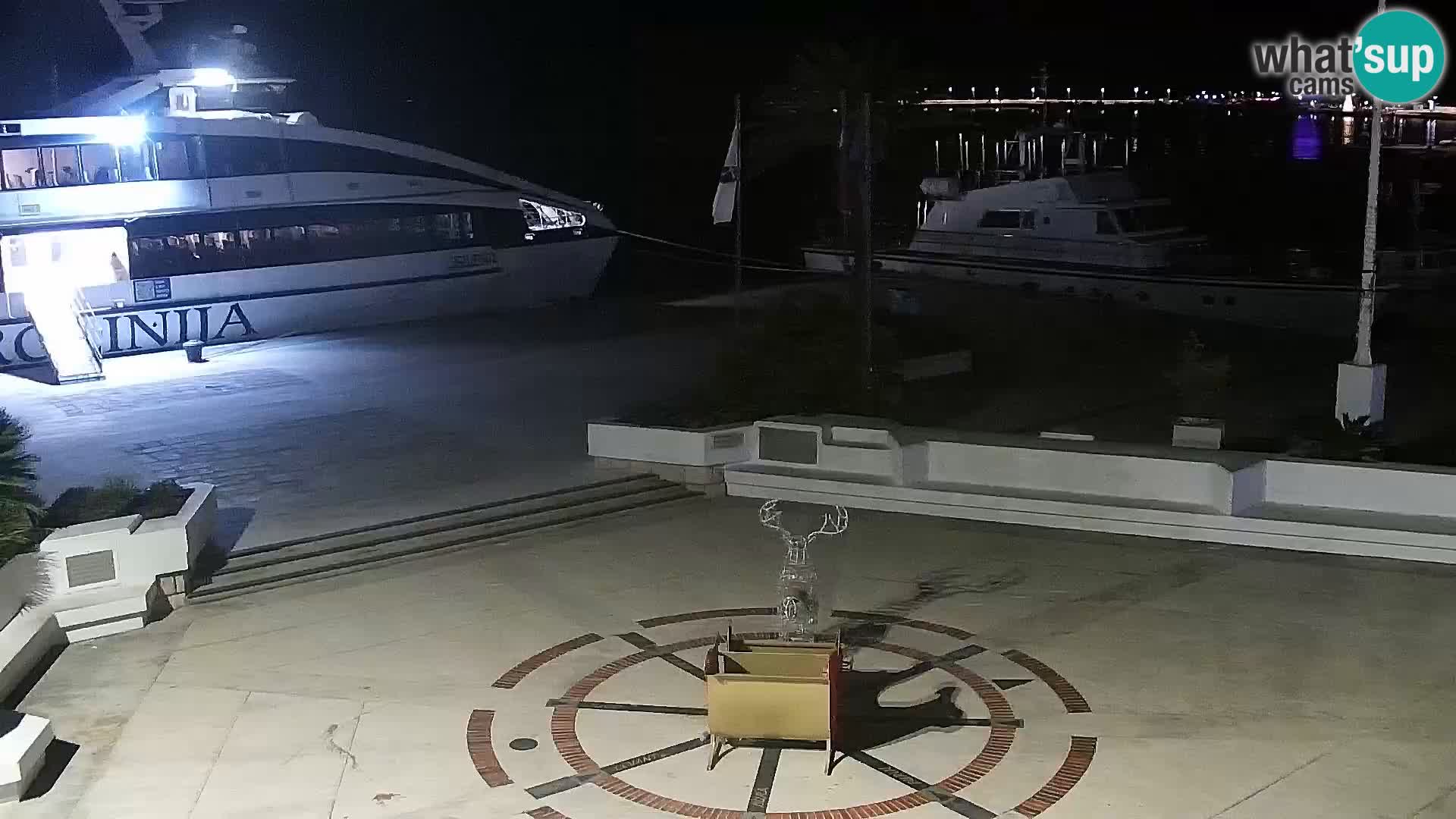 Promenade en Novalia Camera en vivo