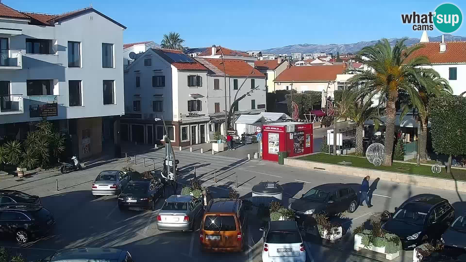 Promenade en Novalia Camera en vivo