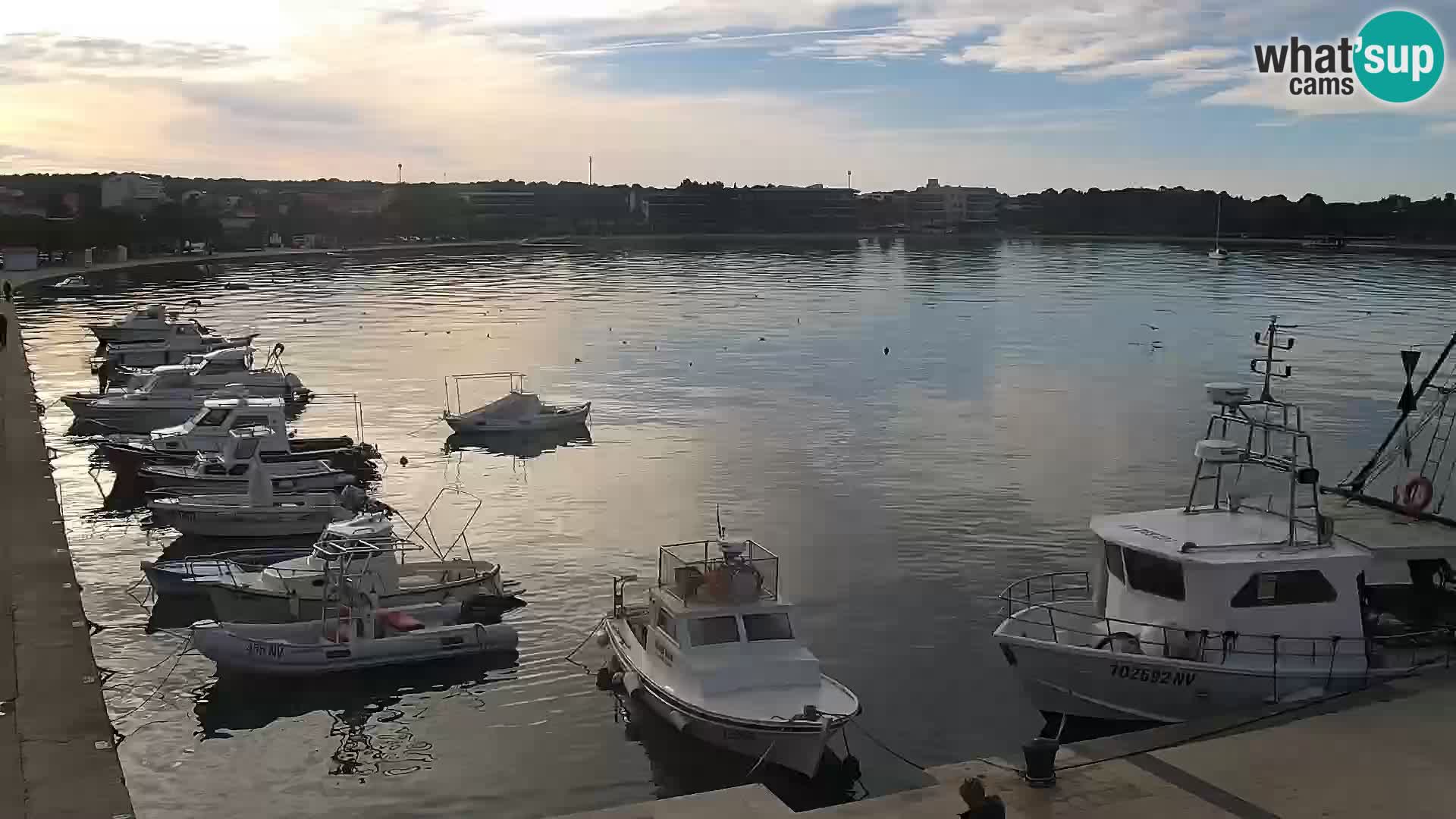 Live webcam Novaglia lungomare