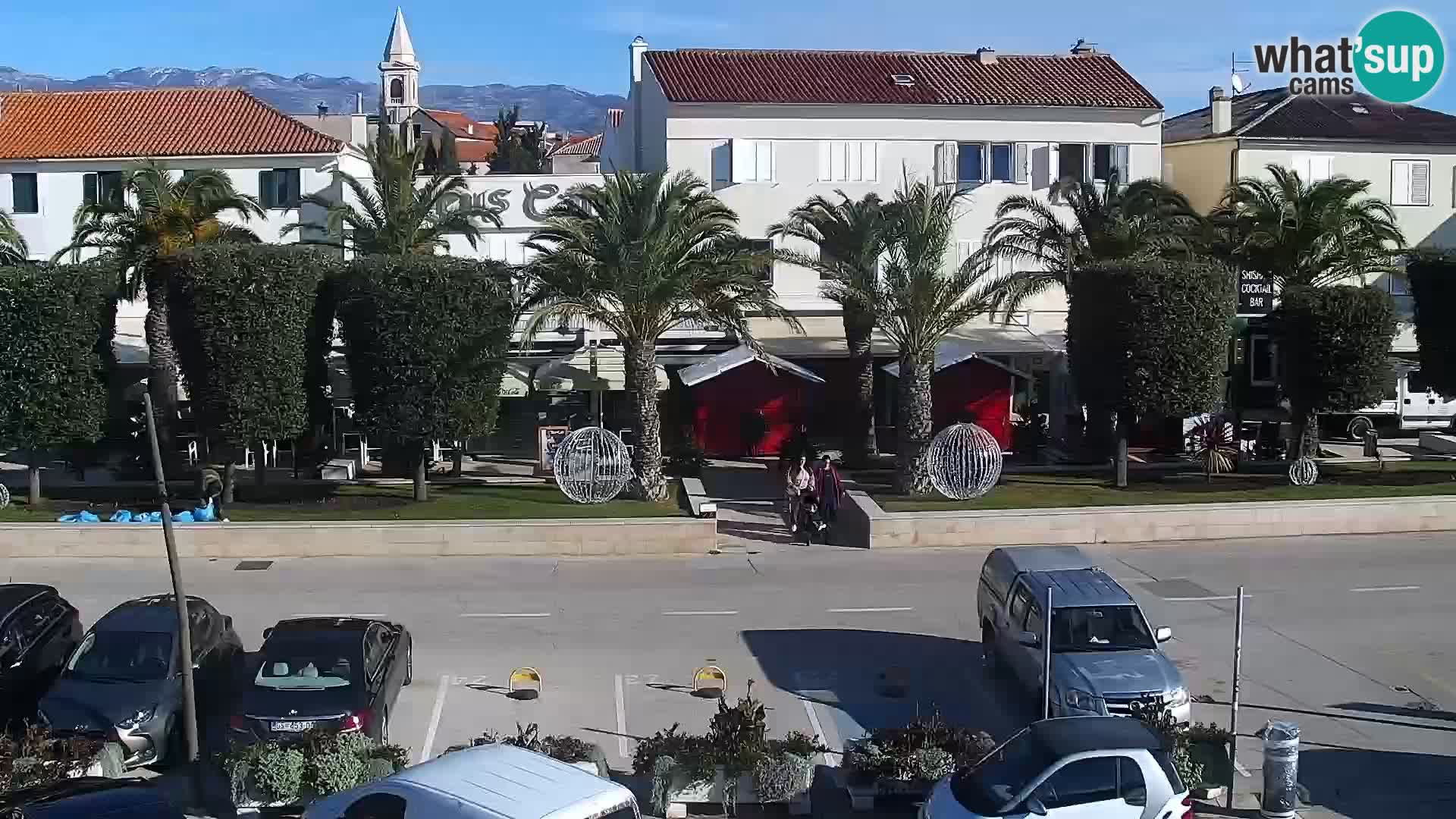 Promenade en Novalia Camera en vivo