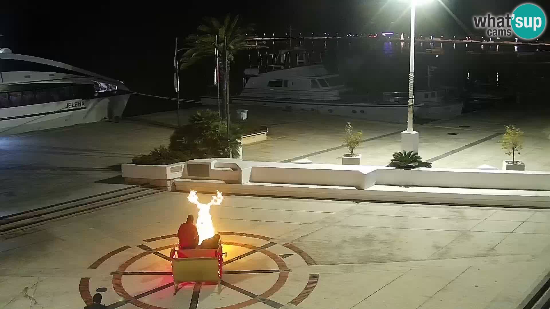 Promenade en Novalia Camera en vivo