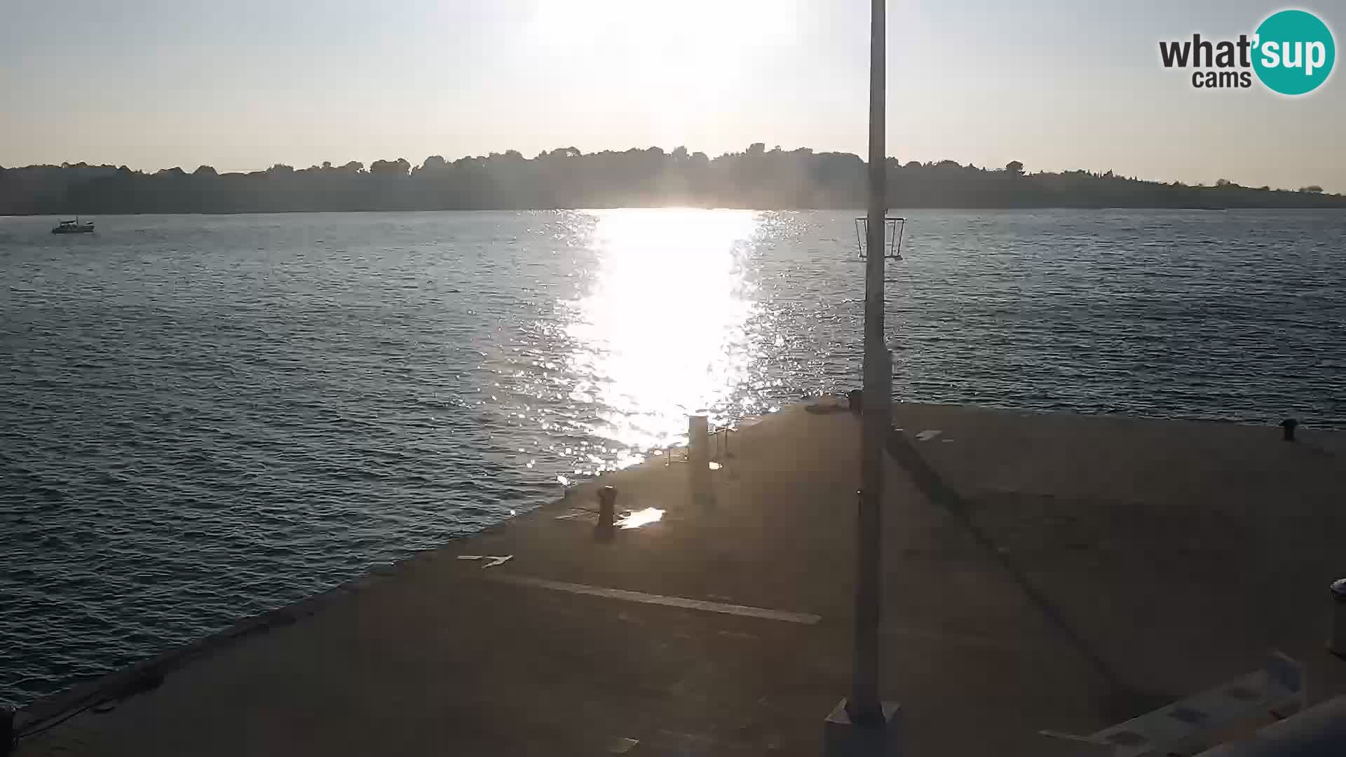 Promenade en Novalia Camera en vivo