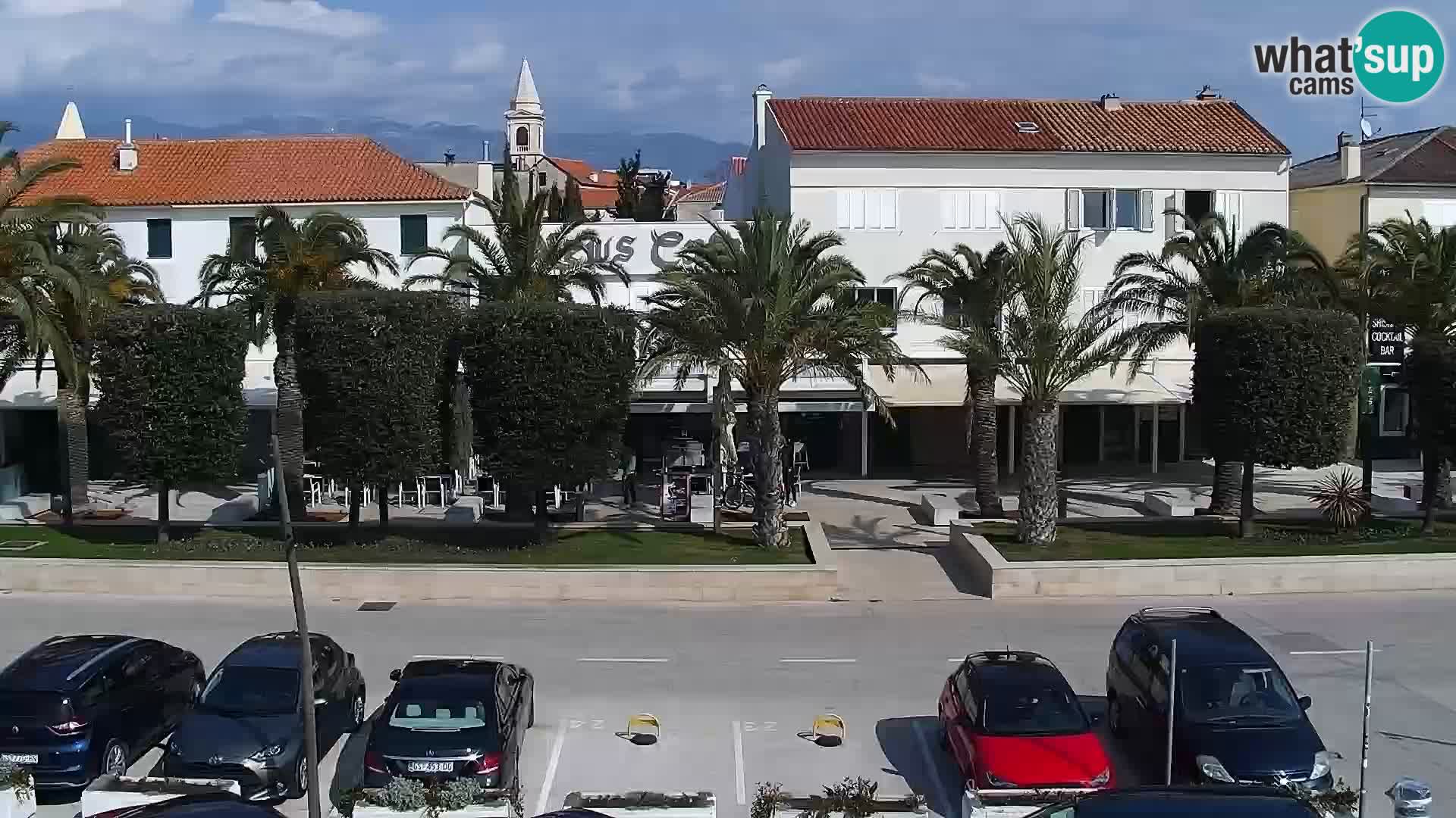 Promenade en Novalia Camera en vivo