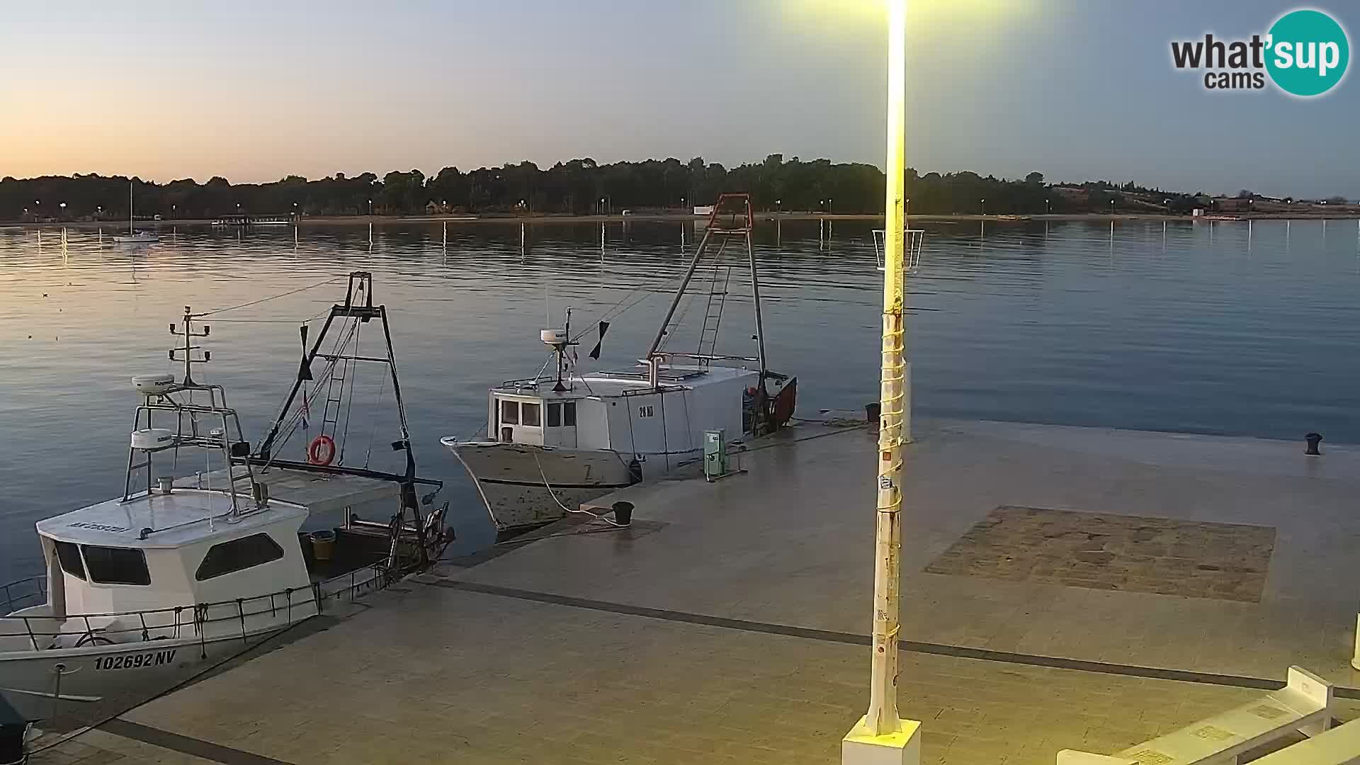 Novalja spletna kamera promenada