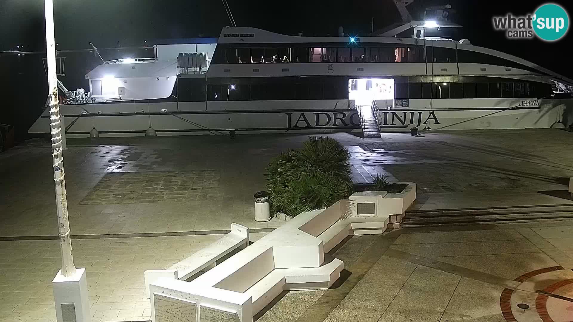 Promenade en Novalia Camera en vivo