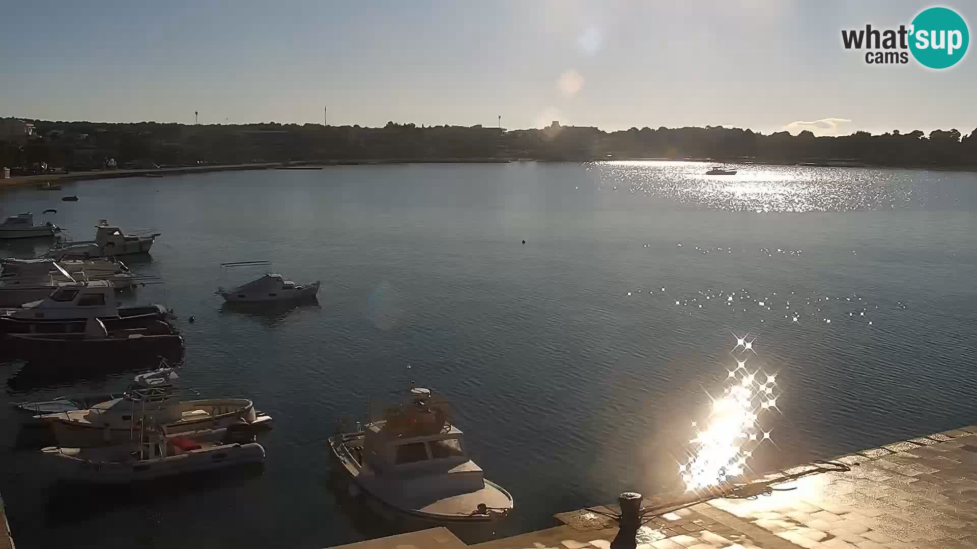 Live webcam Novaglia lungomare