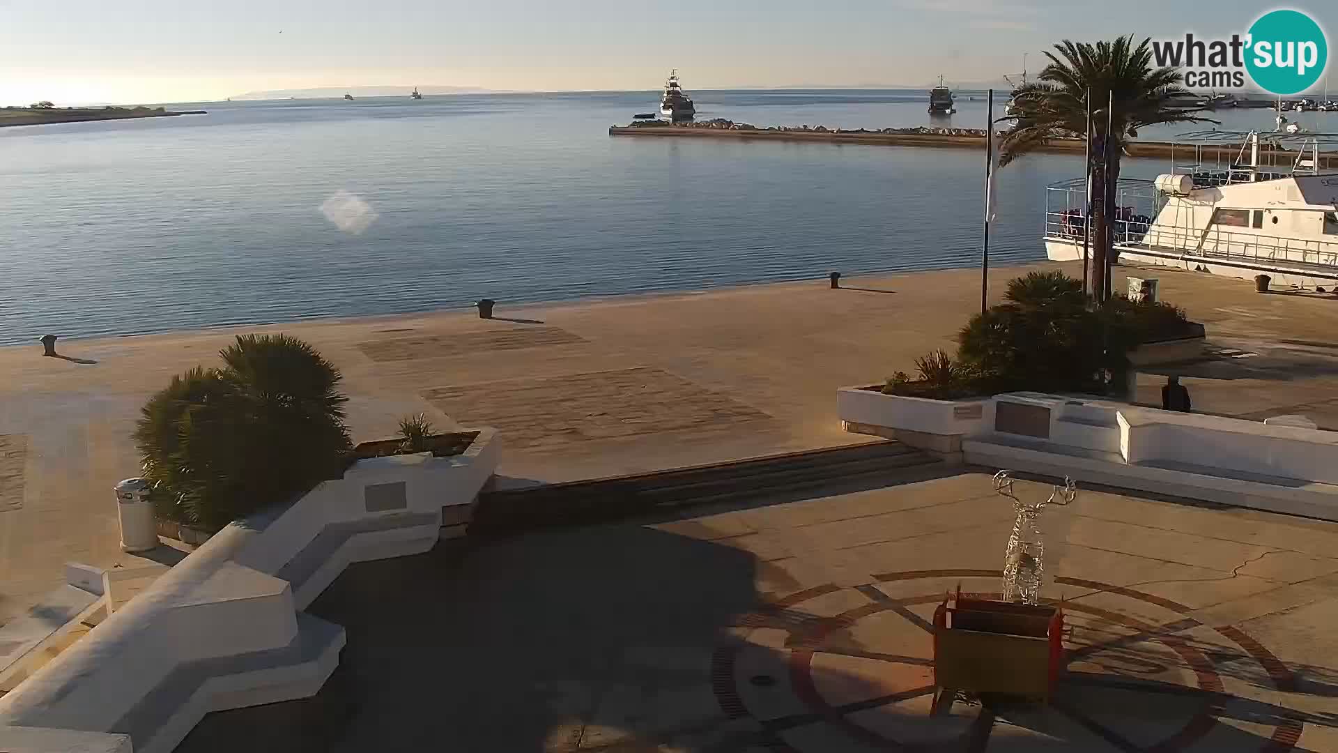 Promenade en Novalia Camera en vivo