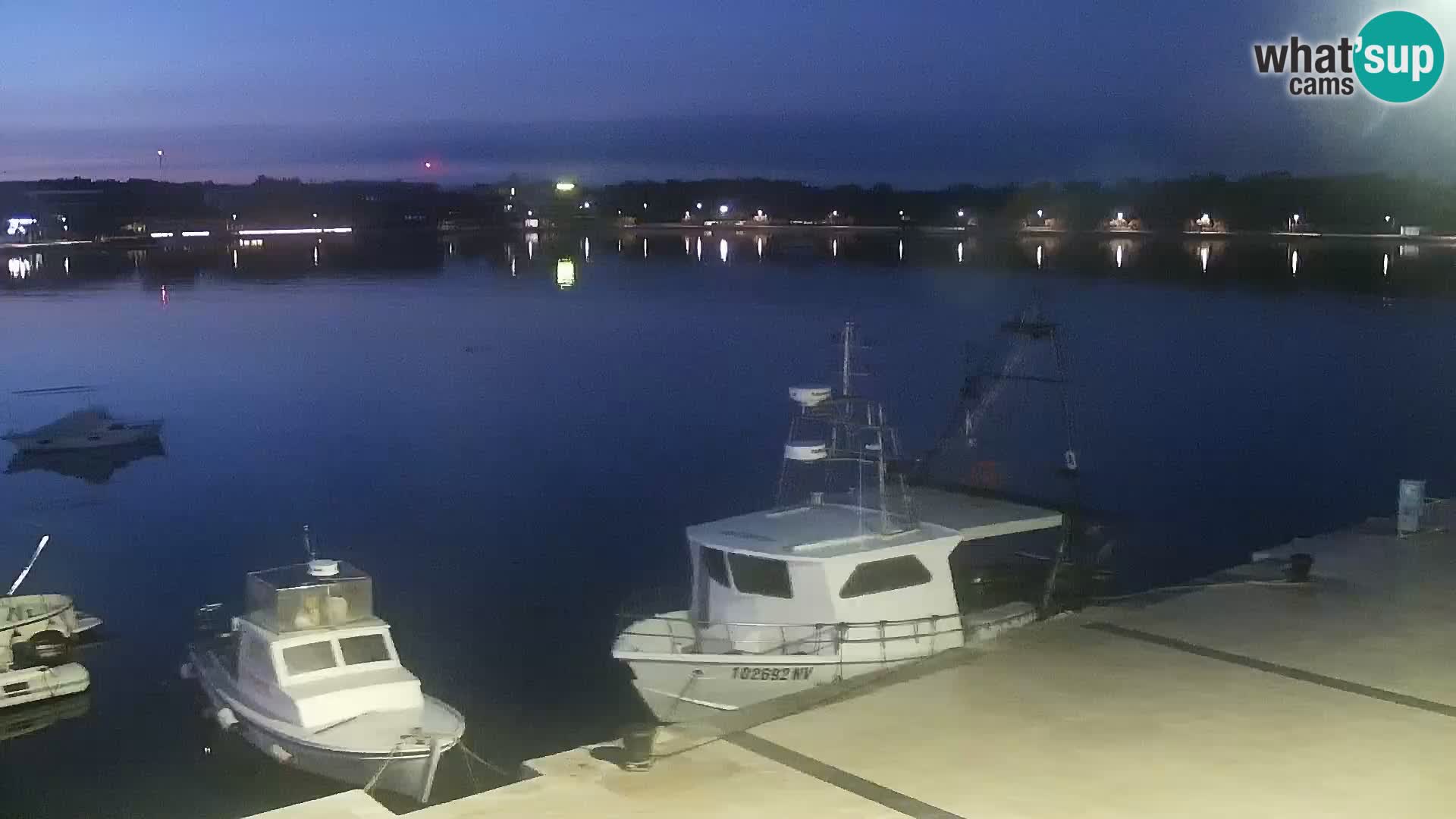 Promenade en Novalia Camera en vivo