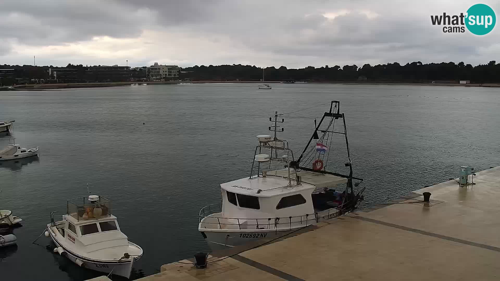 Novalja spletna kamera promenada