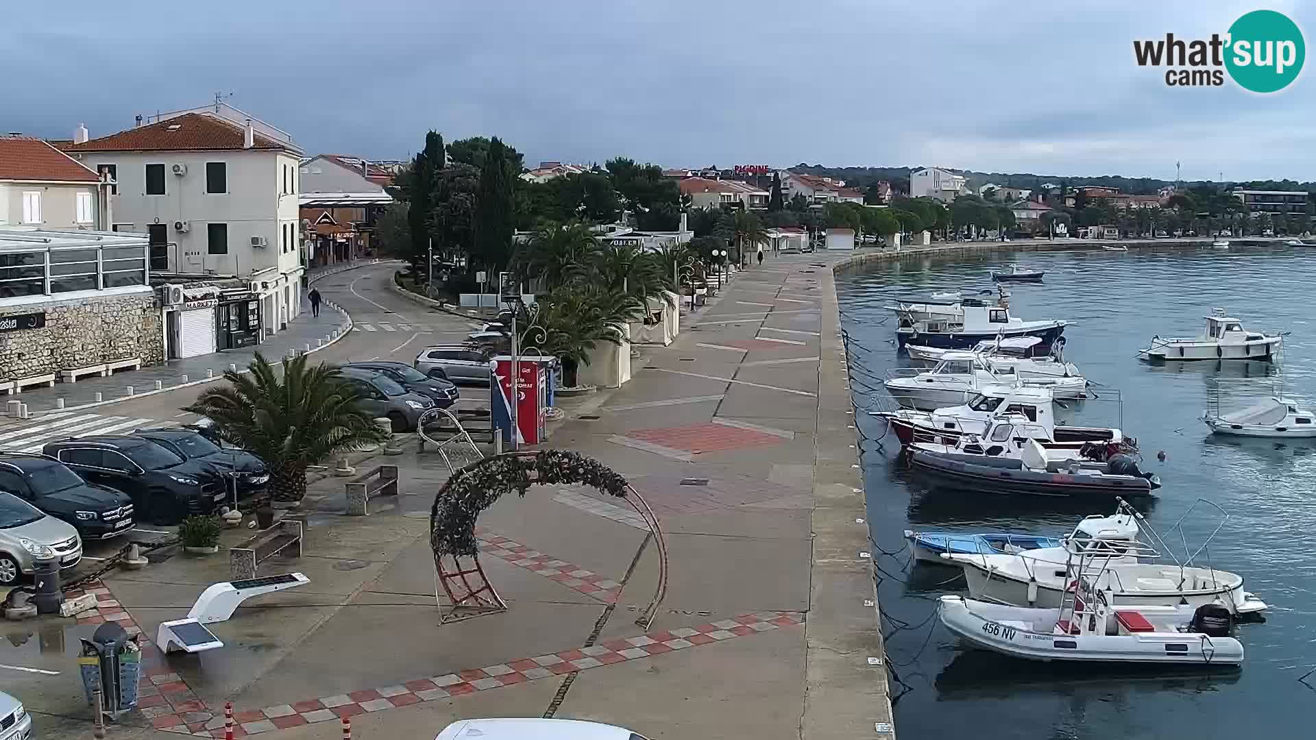 Promenade en Novalia Camera en vivo