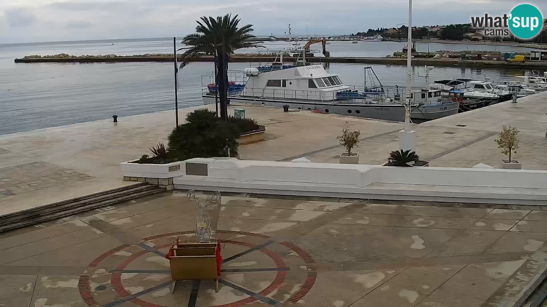 Promenade en Novalia Camera en vivo