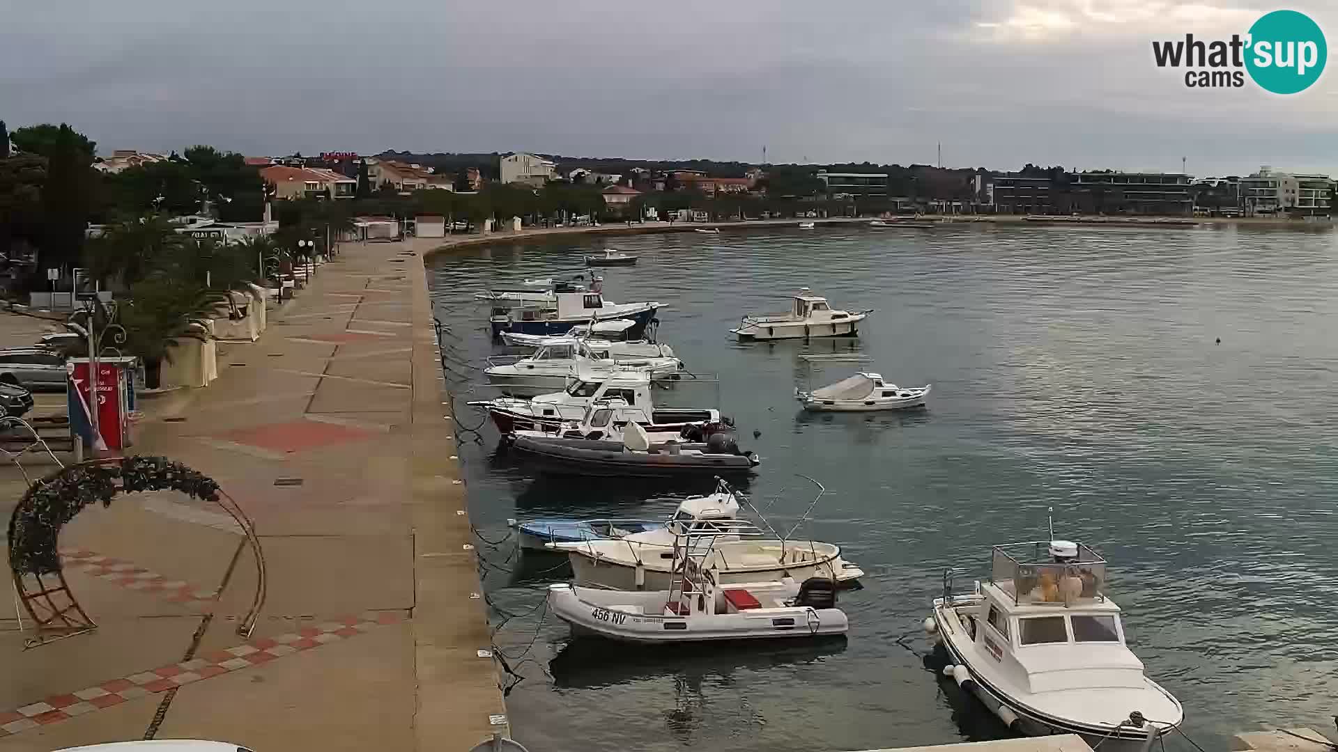 Promenade en Novalia Camera en vivo