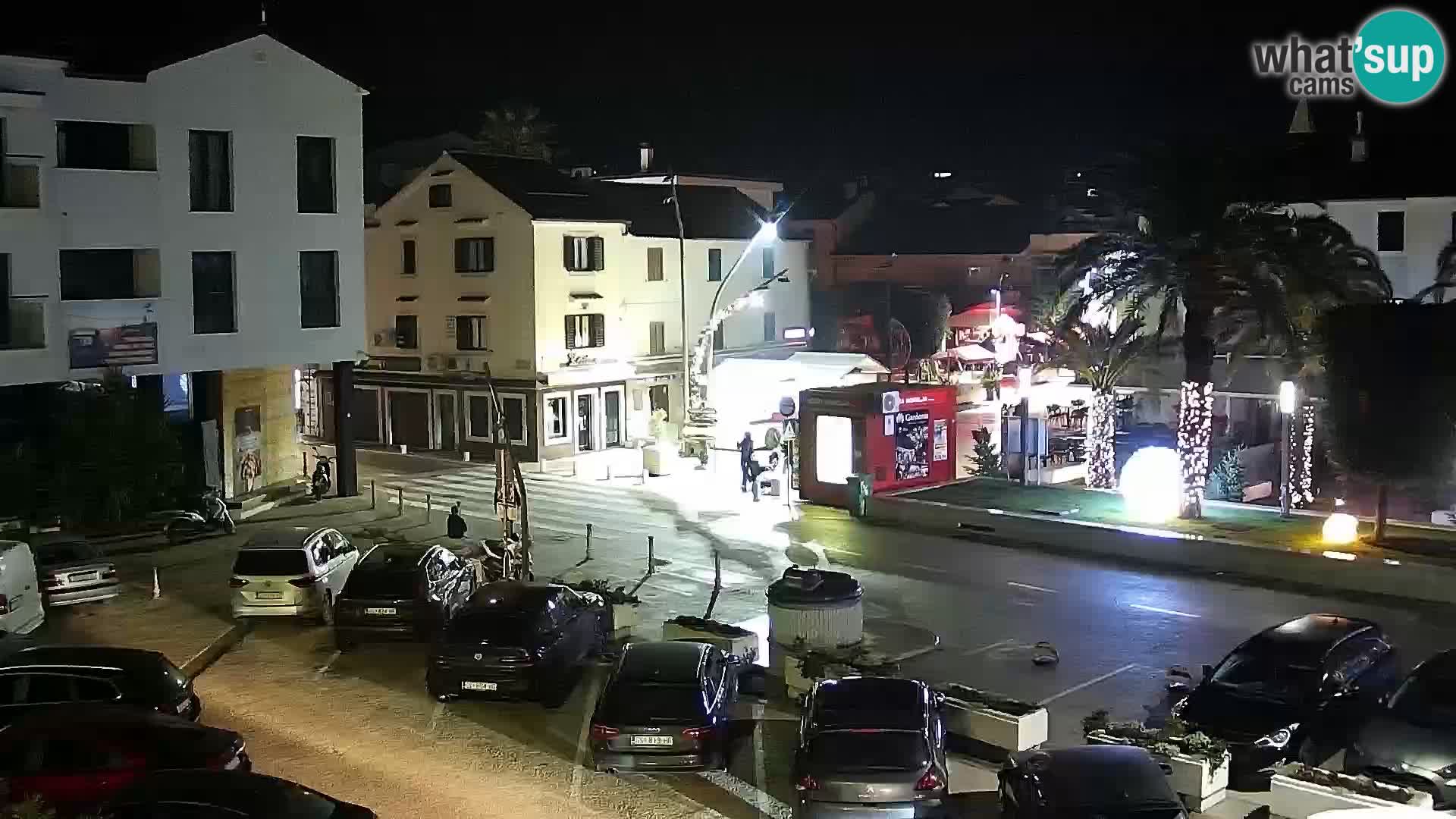 Promenade en Novalia Camera en vivo