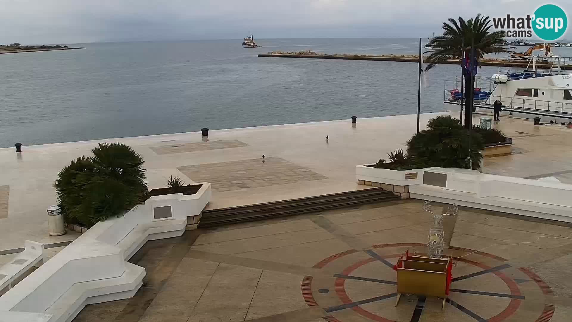 Promenade en Novalia Camera en vivo