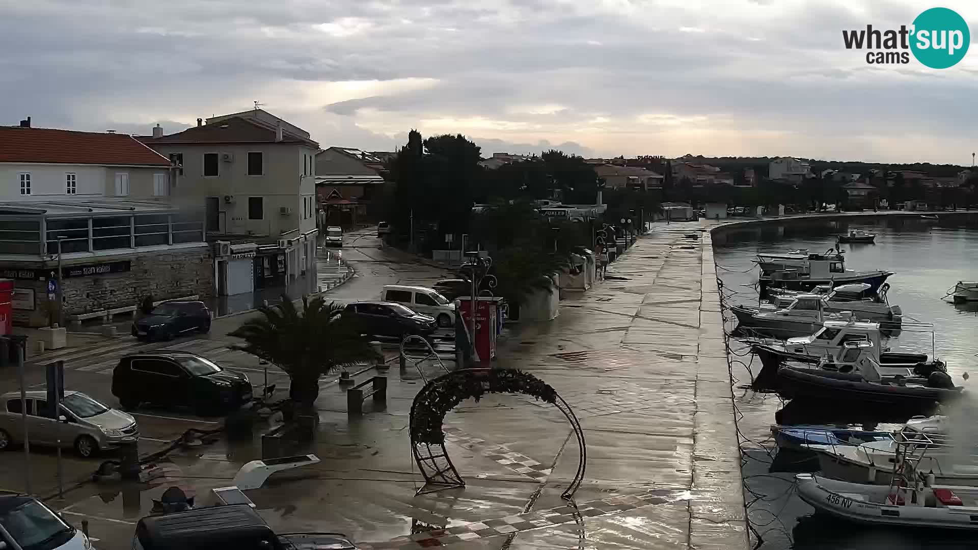 Promenade en Novalia Camera en vivo