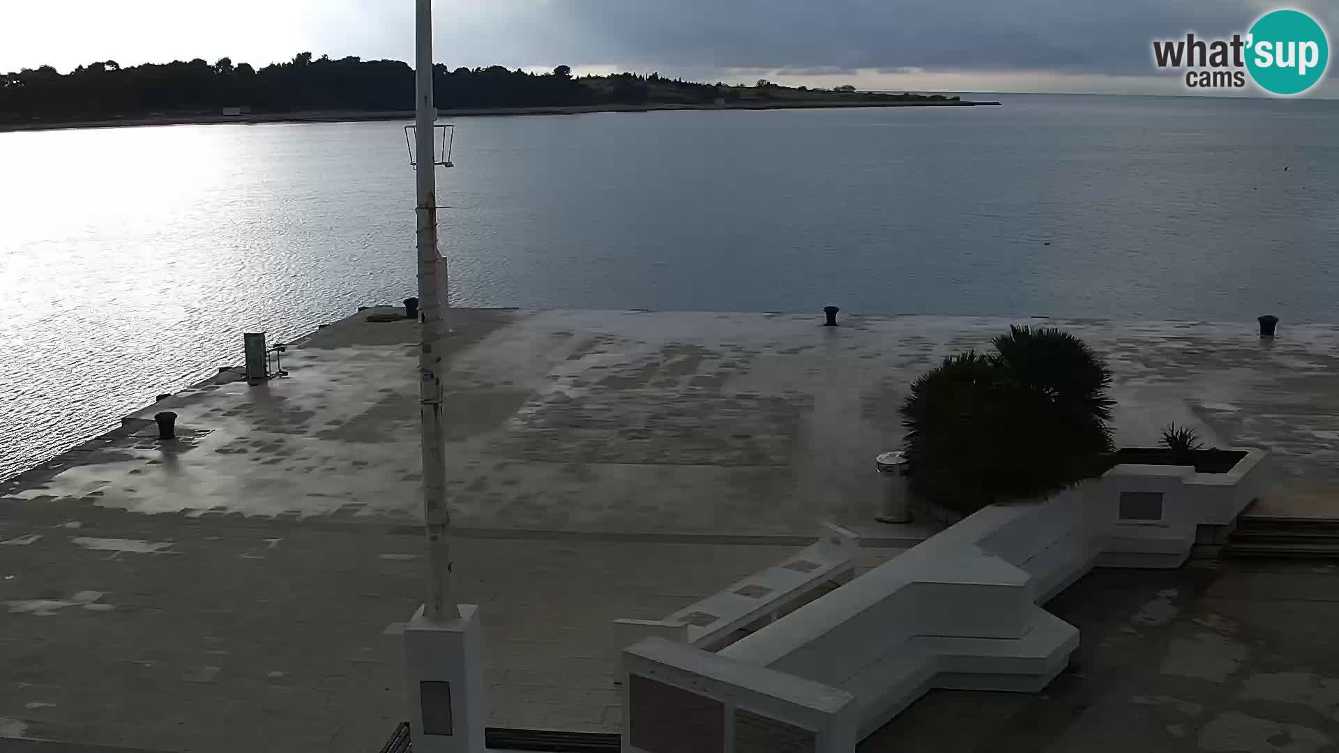 Promenade en Novalia Camera en vivo