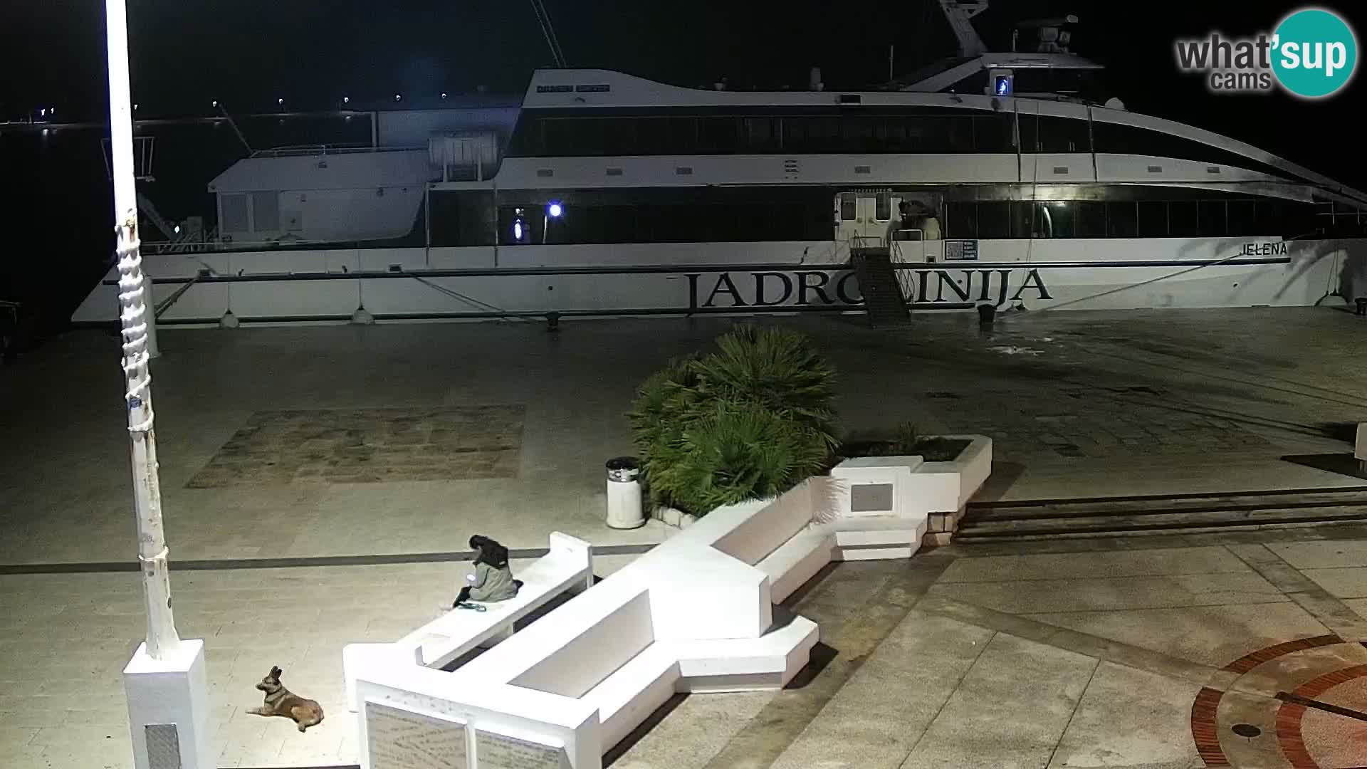 Novalja Livecam promenade