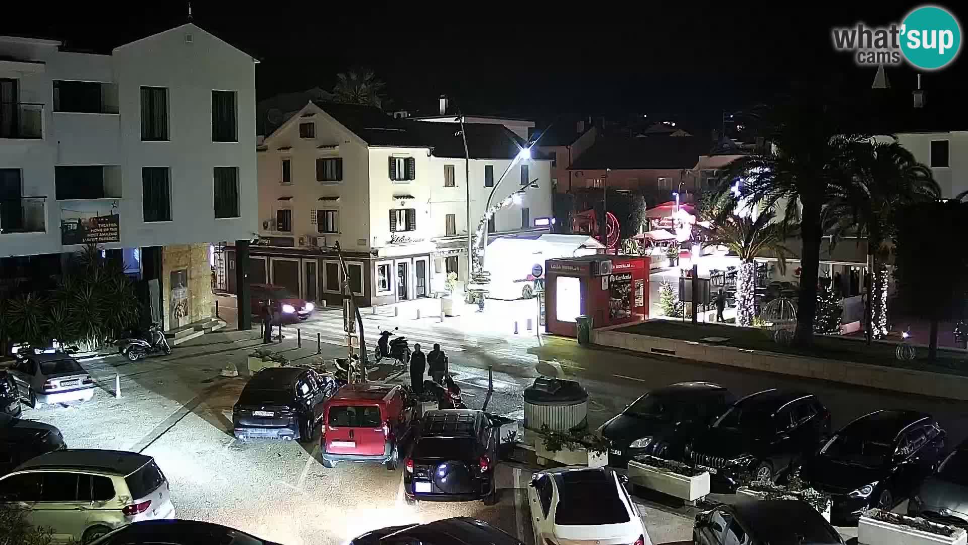 Promenade en Novalia Camera en vivo