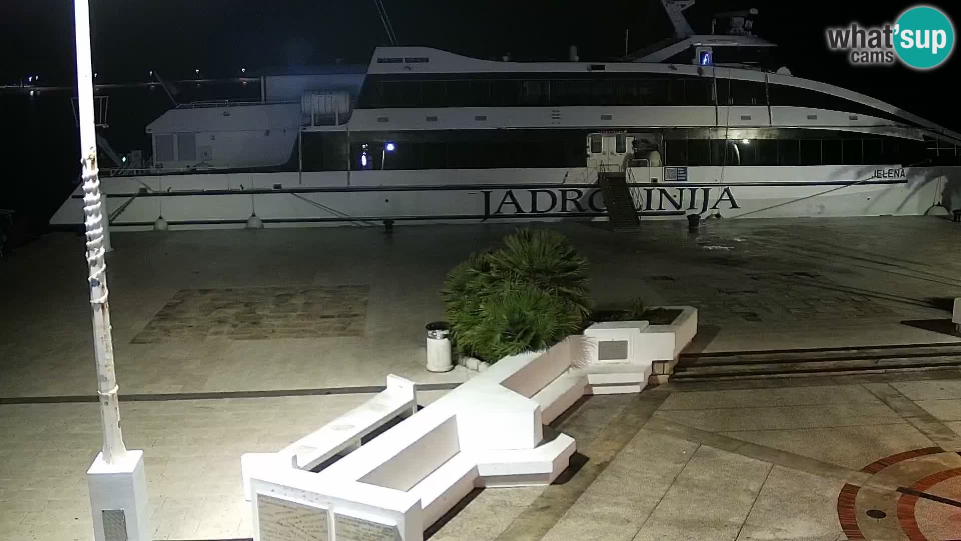 Promenade en Novalia Camera en vivo