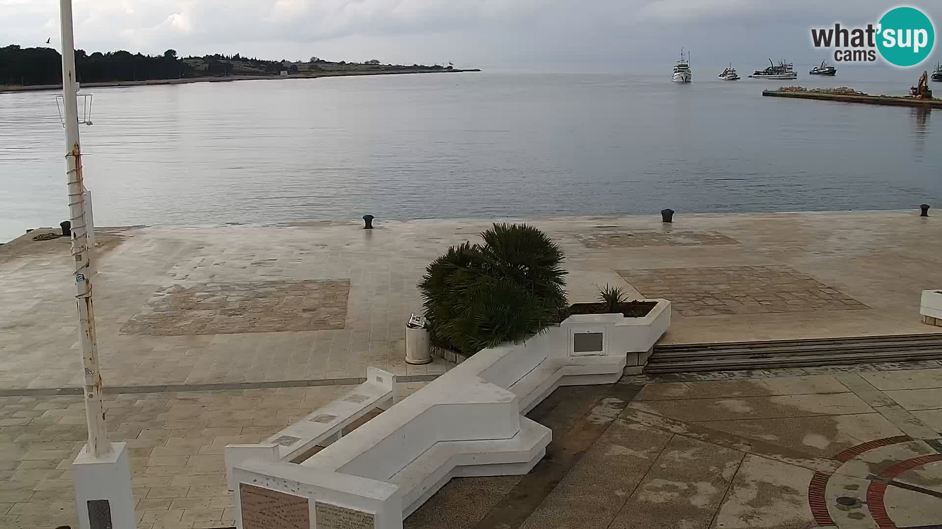 Promenade en Novalia Camera en vivo