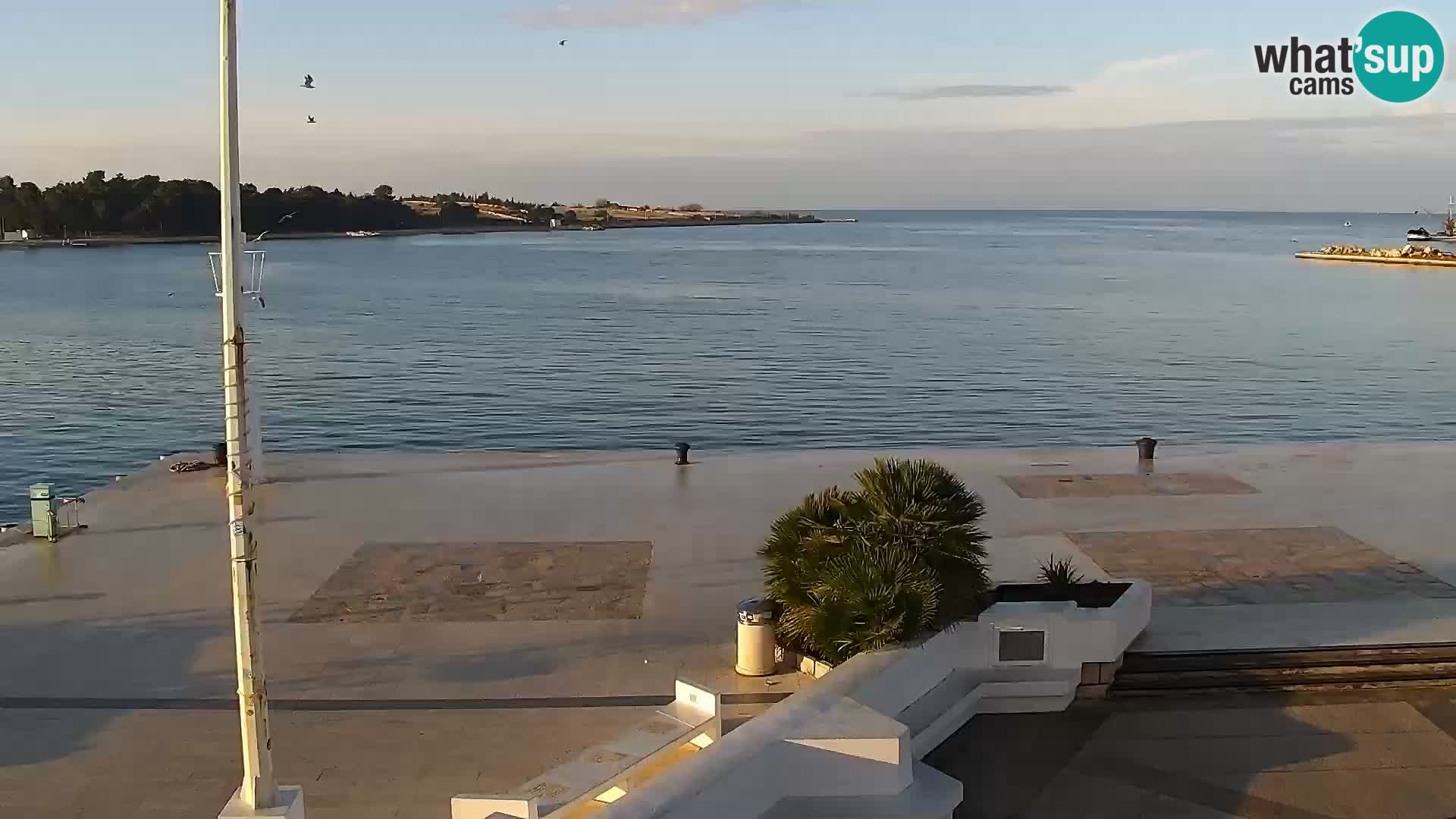 Livecam Promenade a Novalja