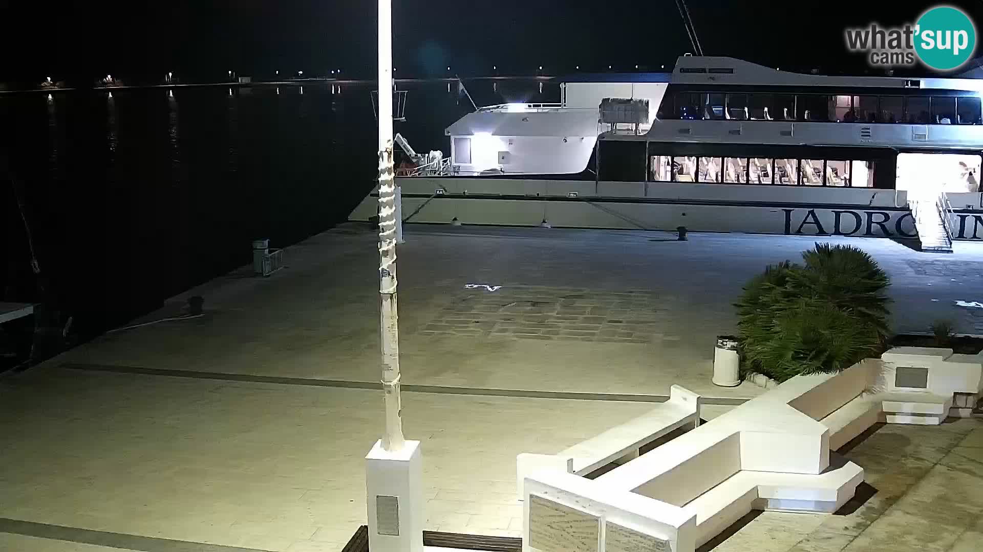 Promenade en Novalia Camera en vivo