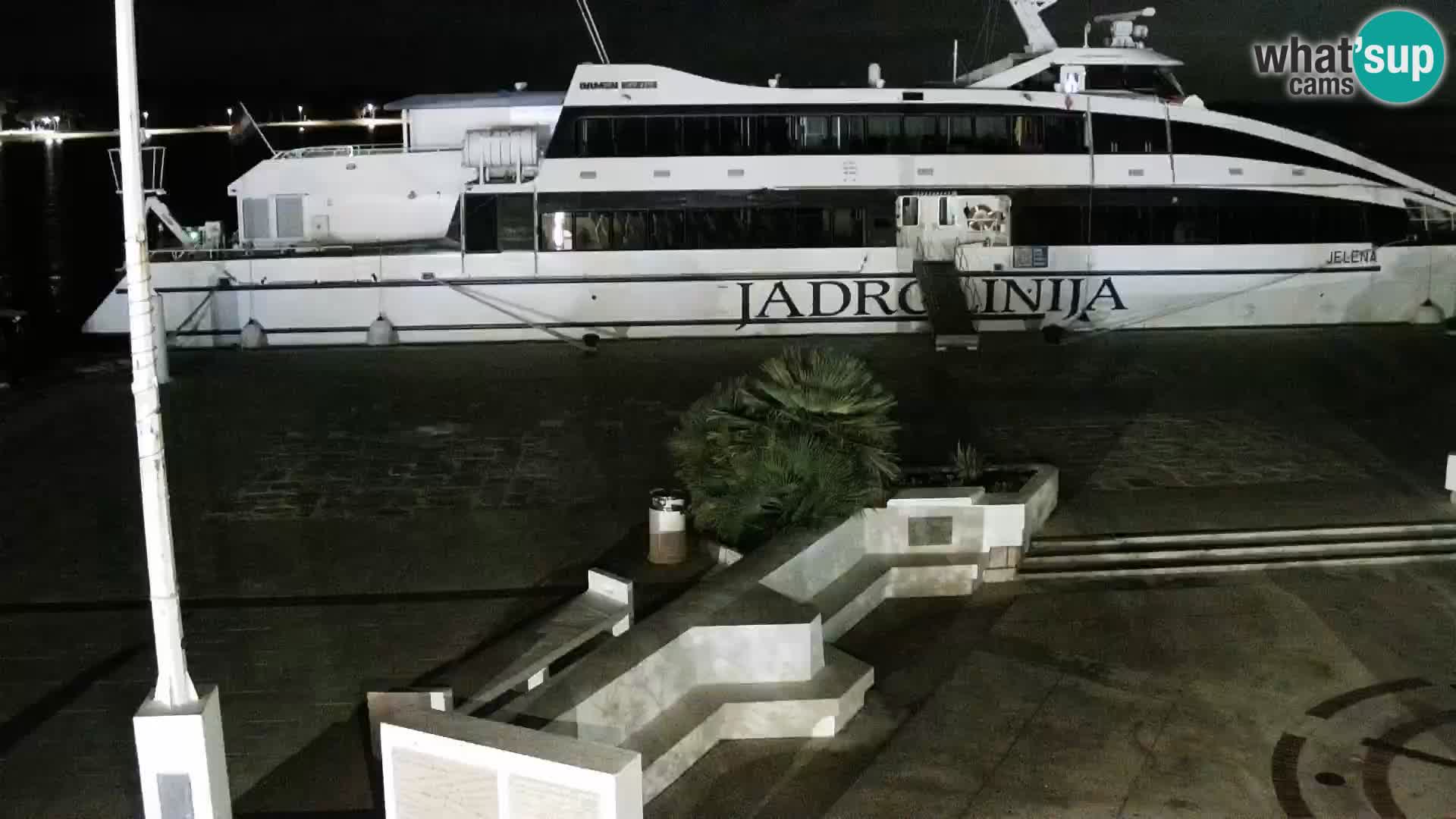 Promenade en Novalia Camera en vivo