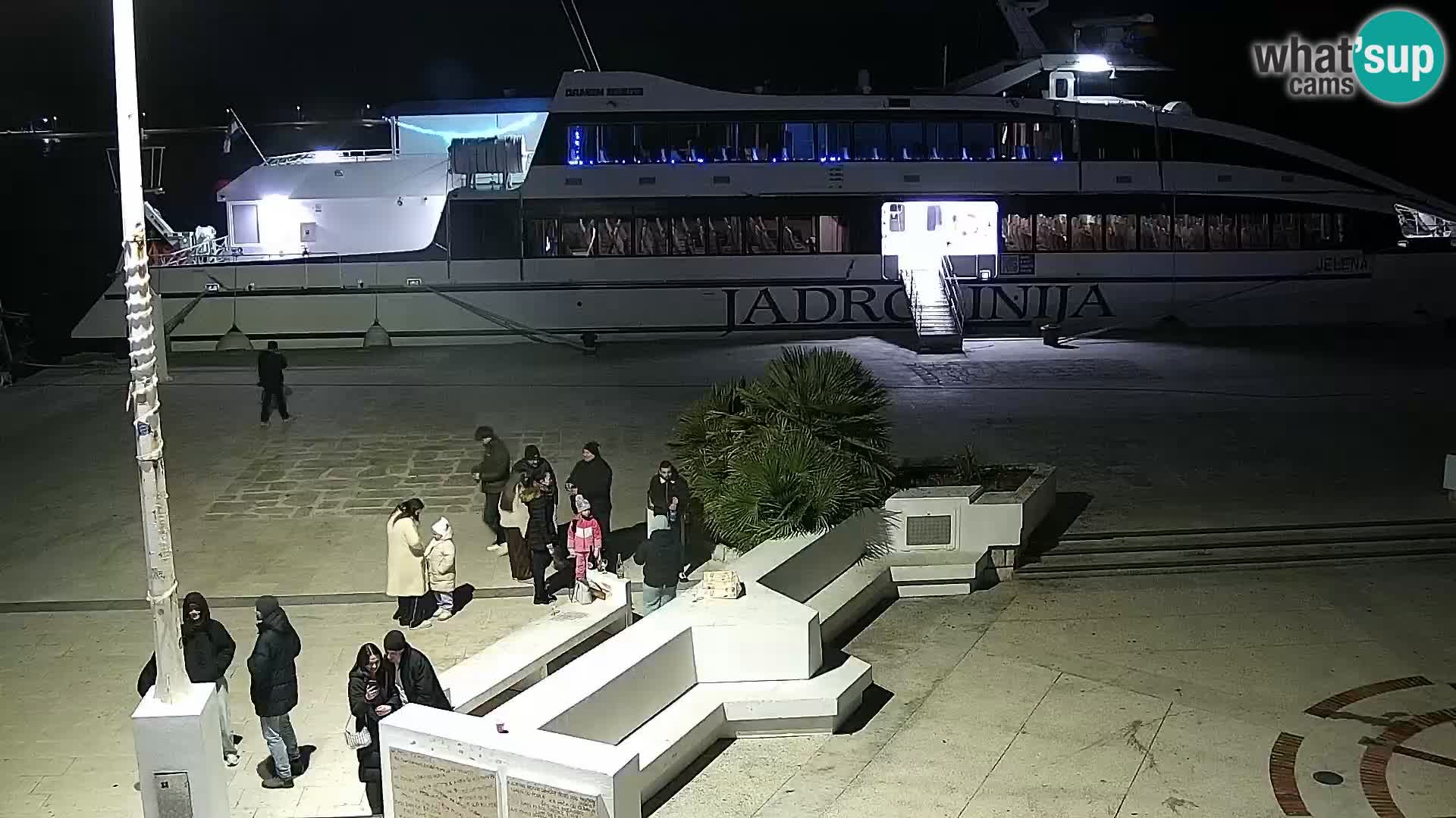 Promenade en Novalia Camera en vivo