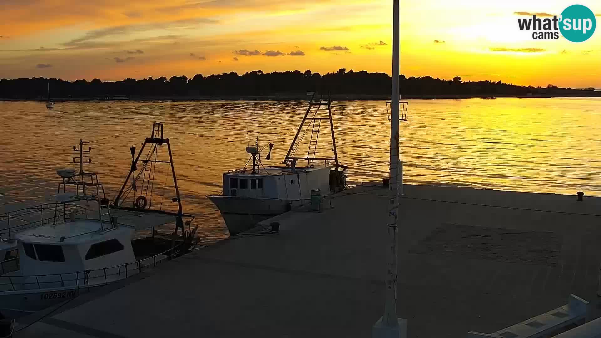 Web kamera Novalja promenada