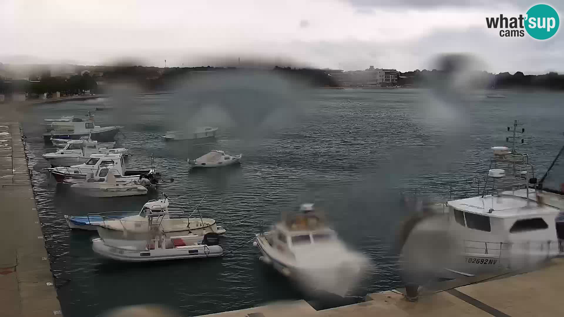 Webcam Novalja seaside promenade