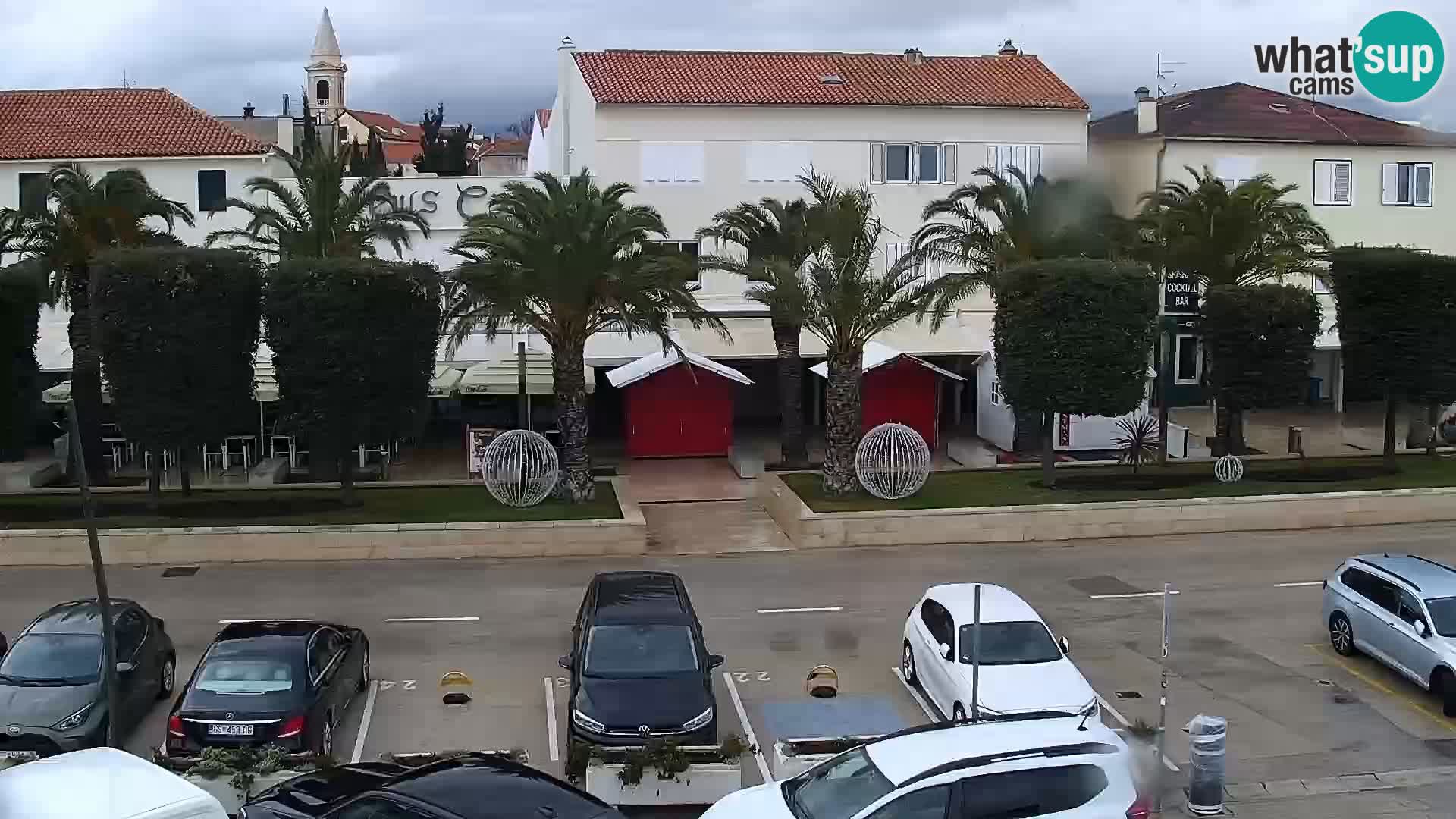 Promenade en Novalia Camera en vivo