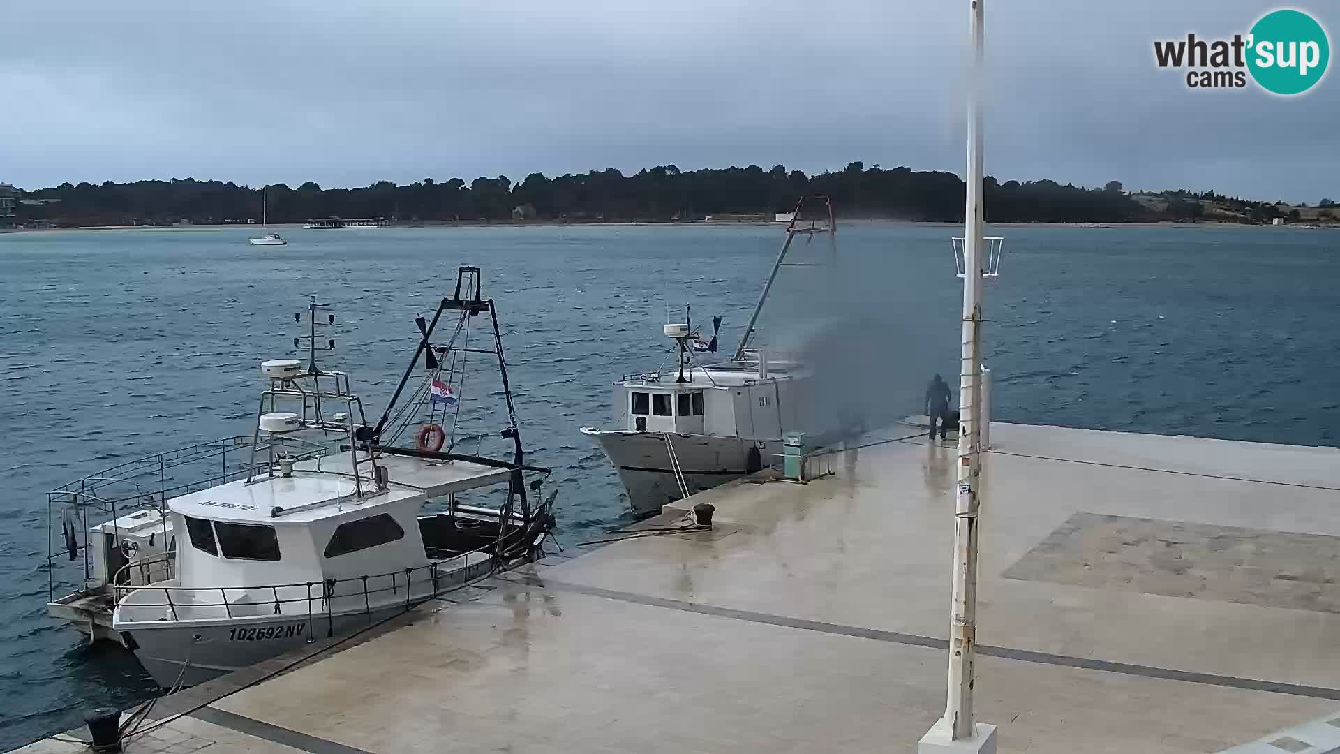 Webcam Novalja seaside promenade