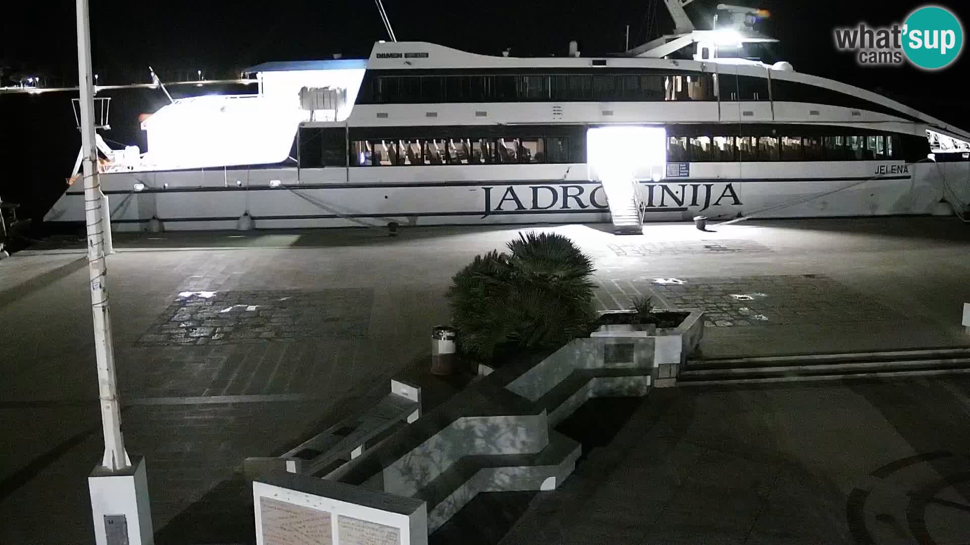 Promenade en Novalia Camera en vivo