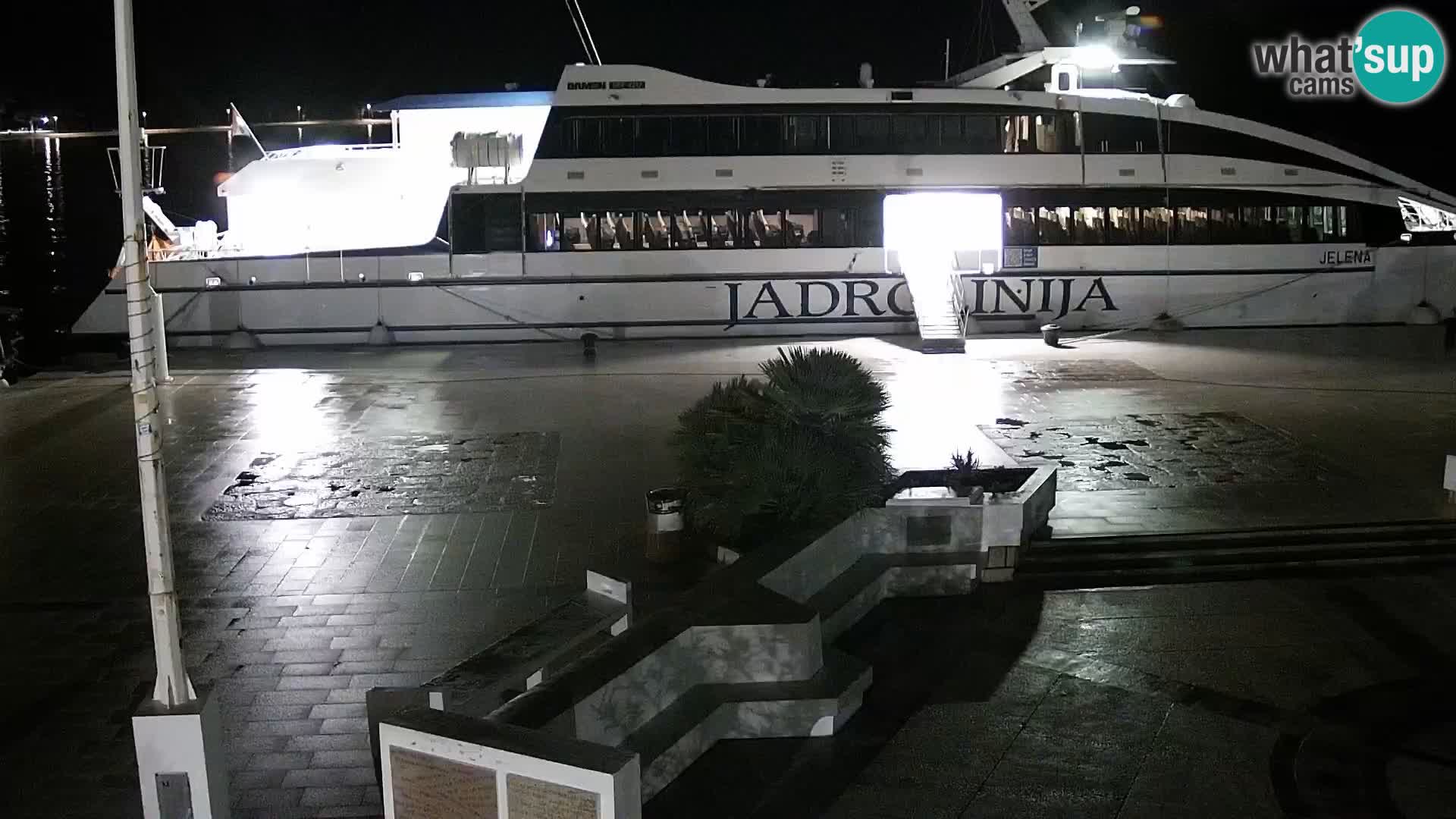 Promenade en Novalia Camera en vivo