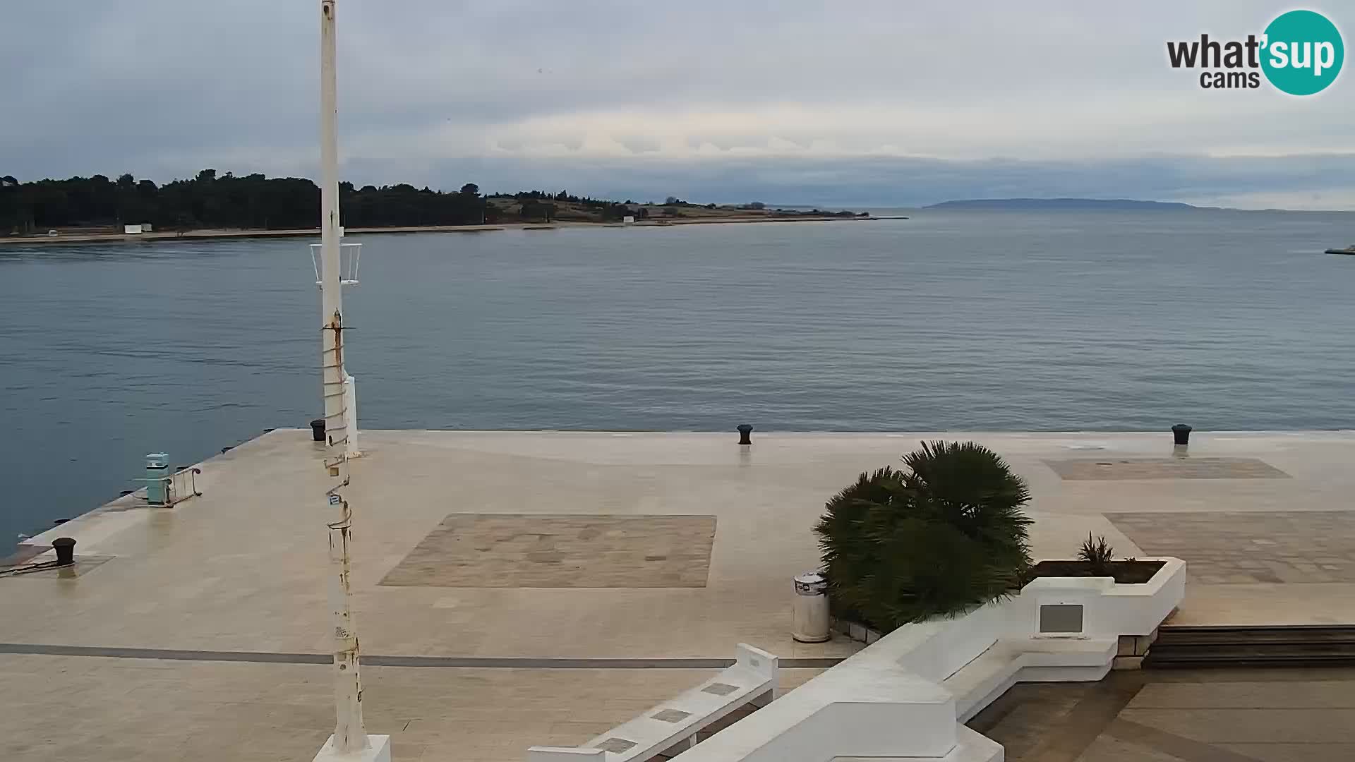 Promenade en Novalia Camera en vivo