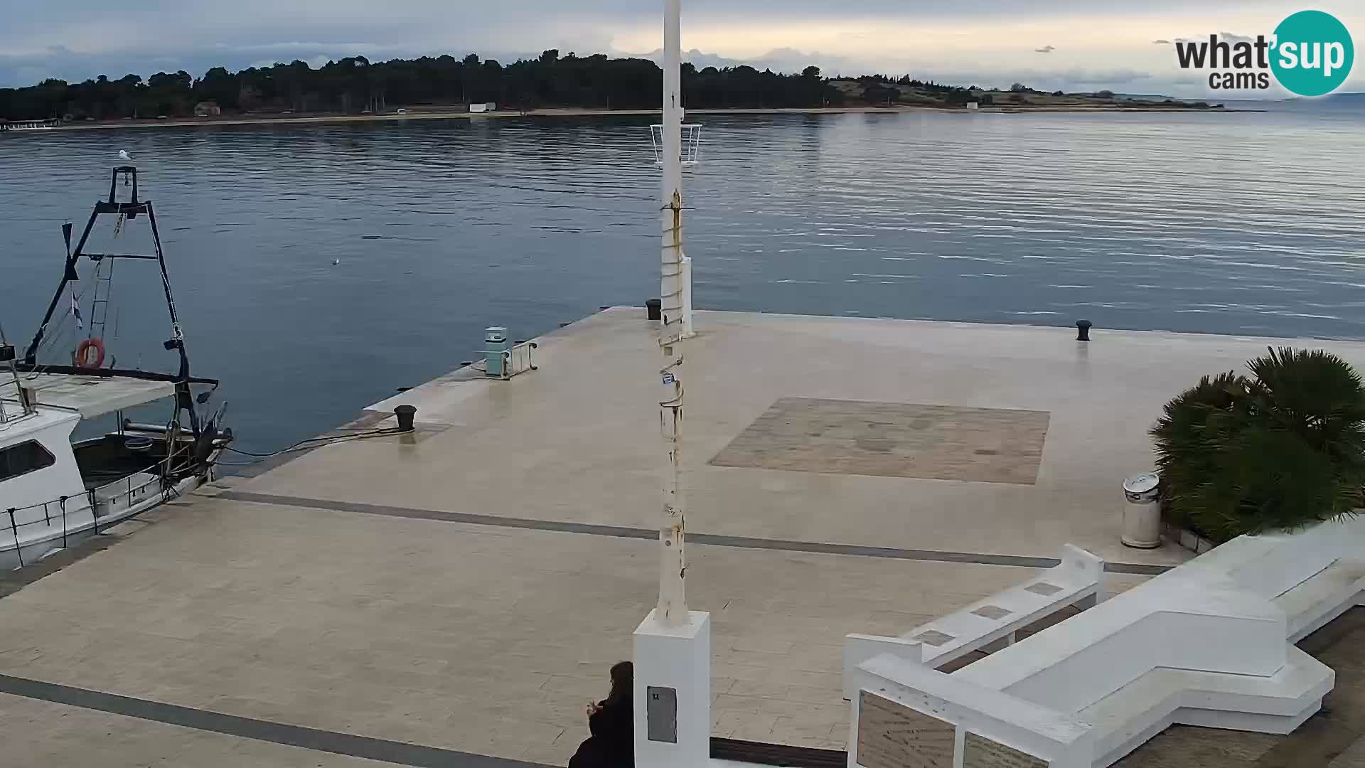 Livecam Promenade a Novalja