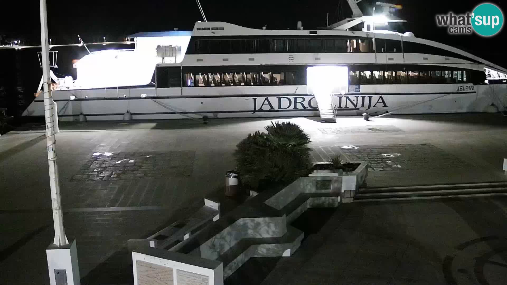 Promenade en Novalia Camera en vivo