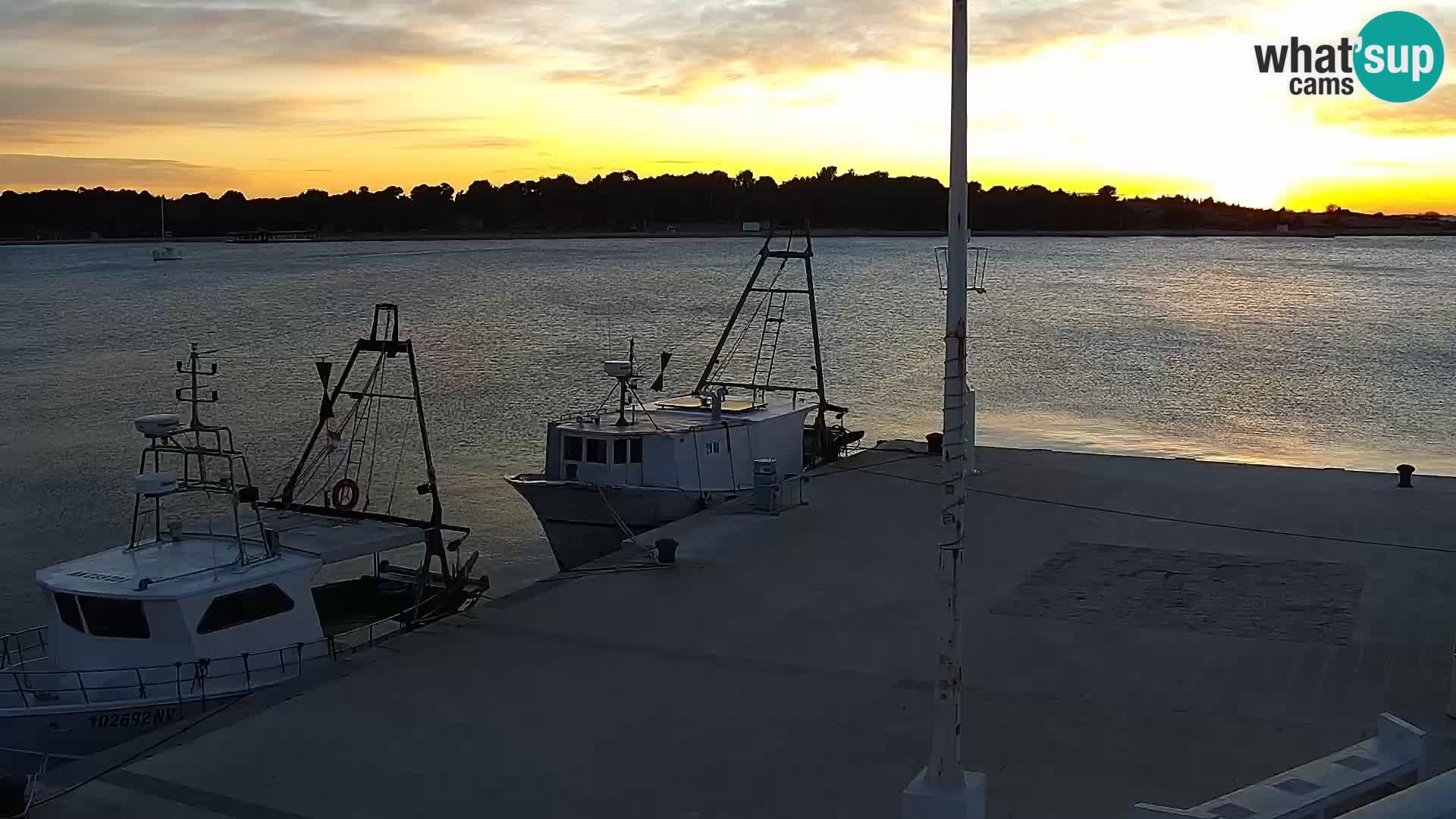 Novalja spletna kamera promenada